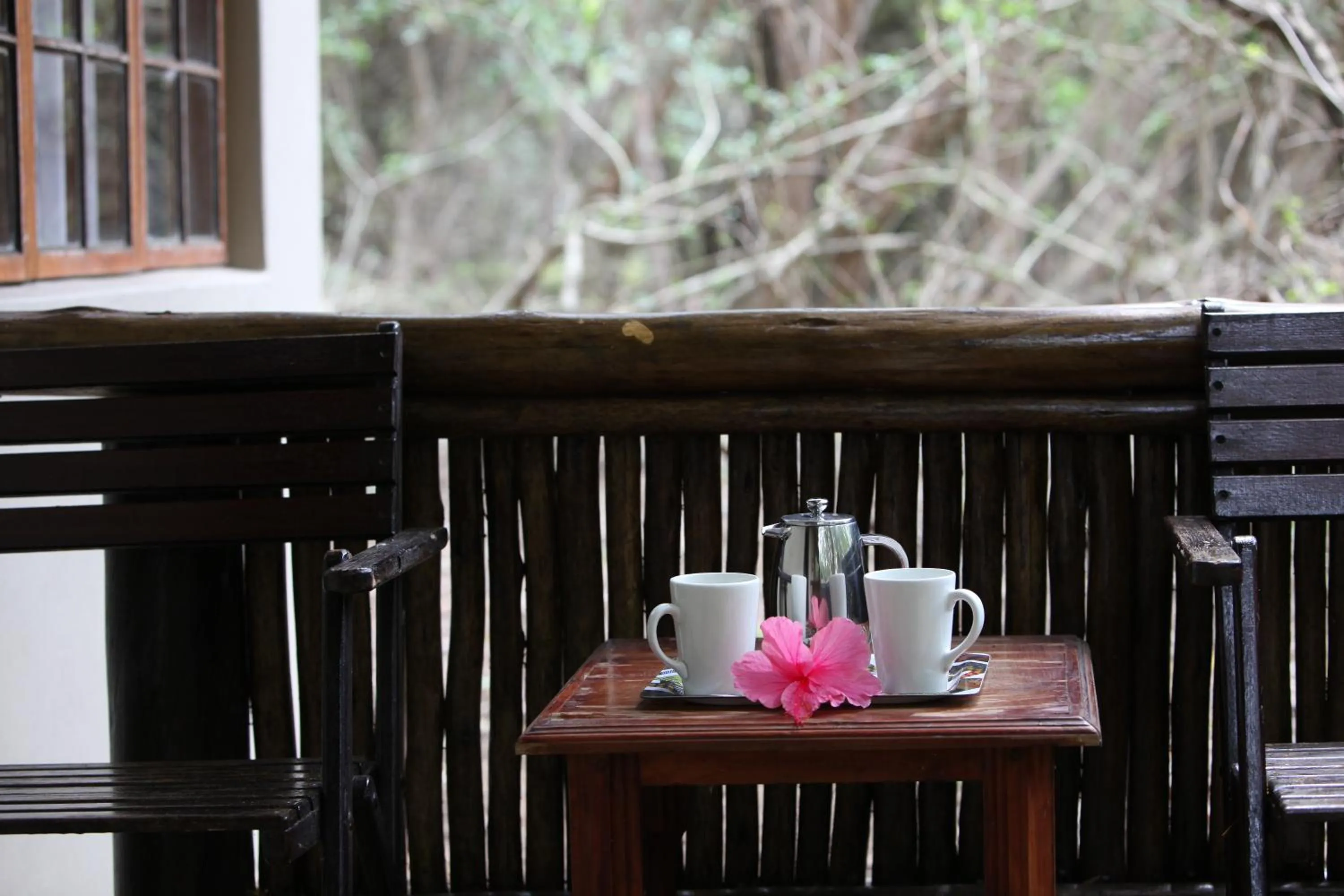 Patio in Emdoneni Lodge with Zululand Cat Conservation Project