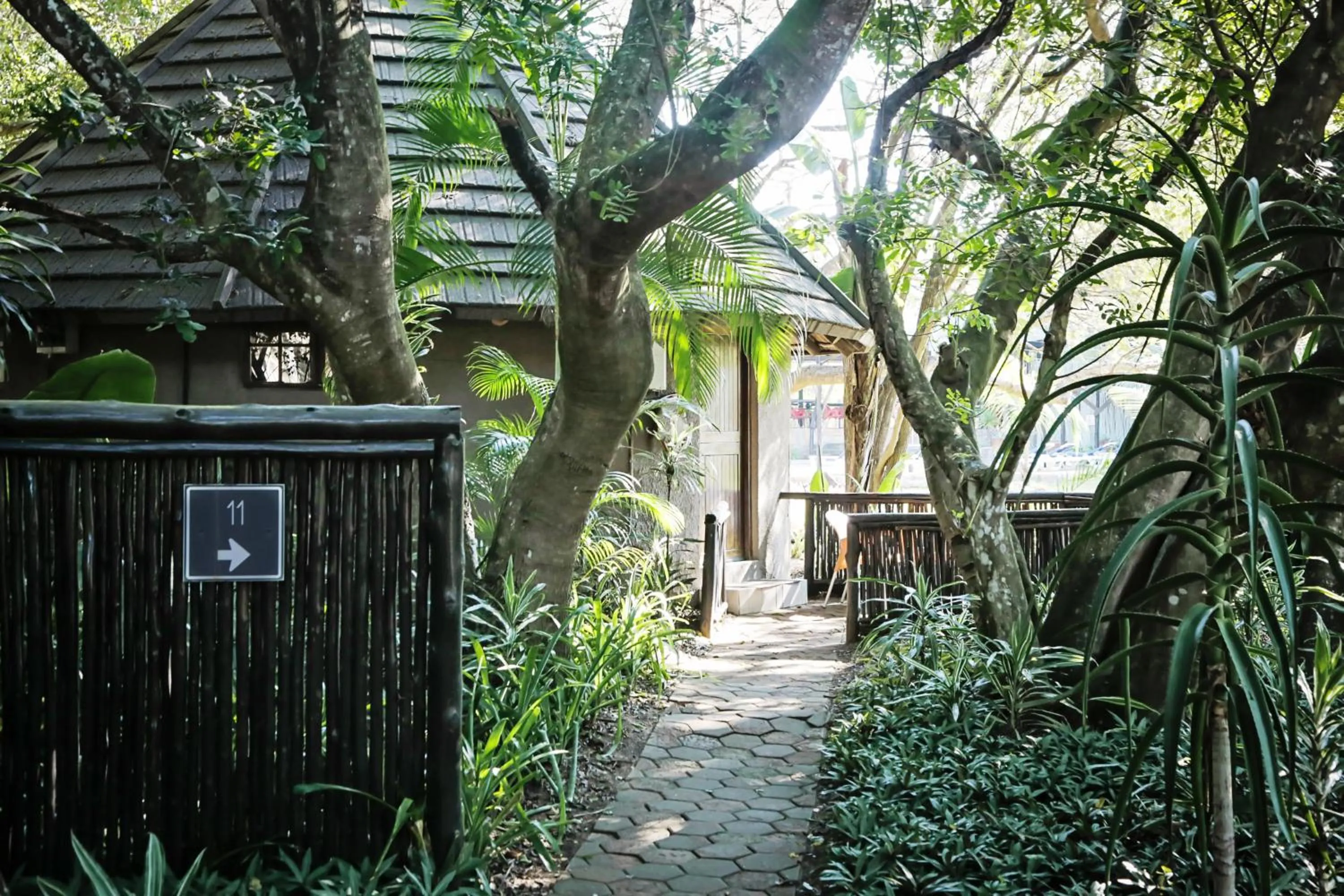 Spring in Emdoneni Lodge with Zululand Cat Conservation Project