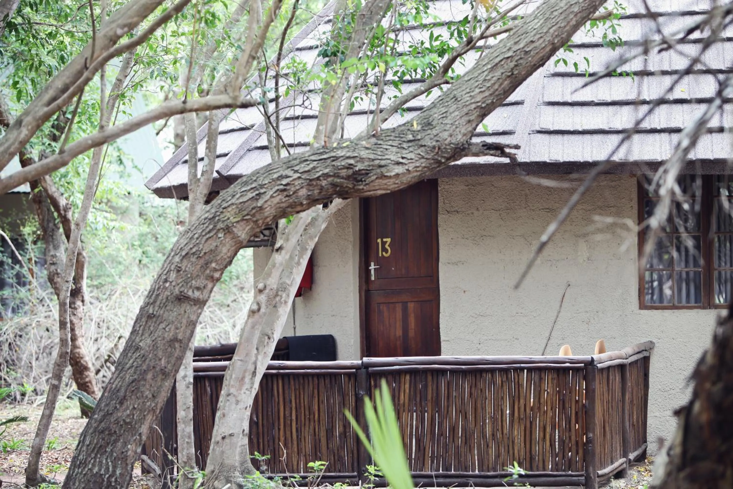 Property building in Emdoneni Lodge with Zululand Cat Conservation Project