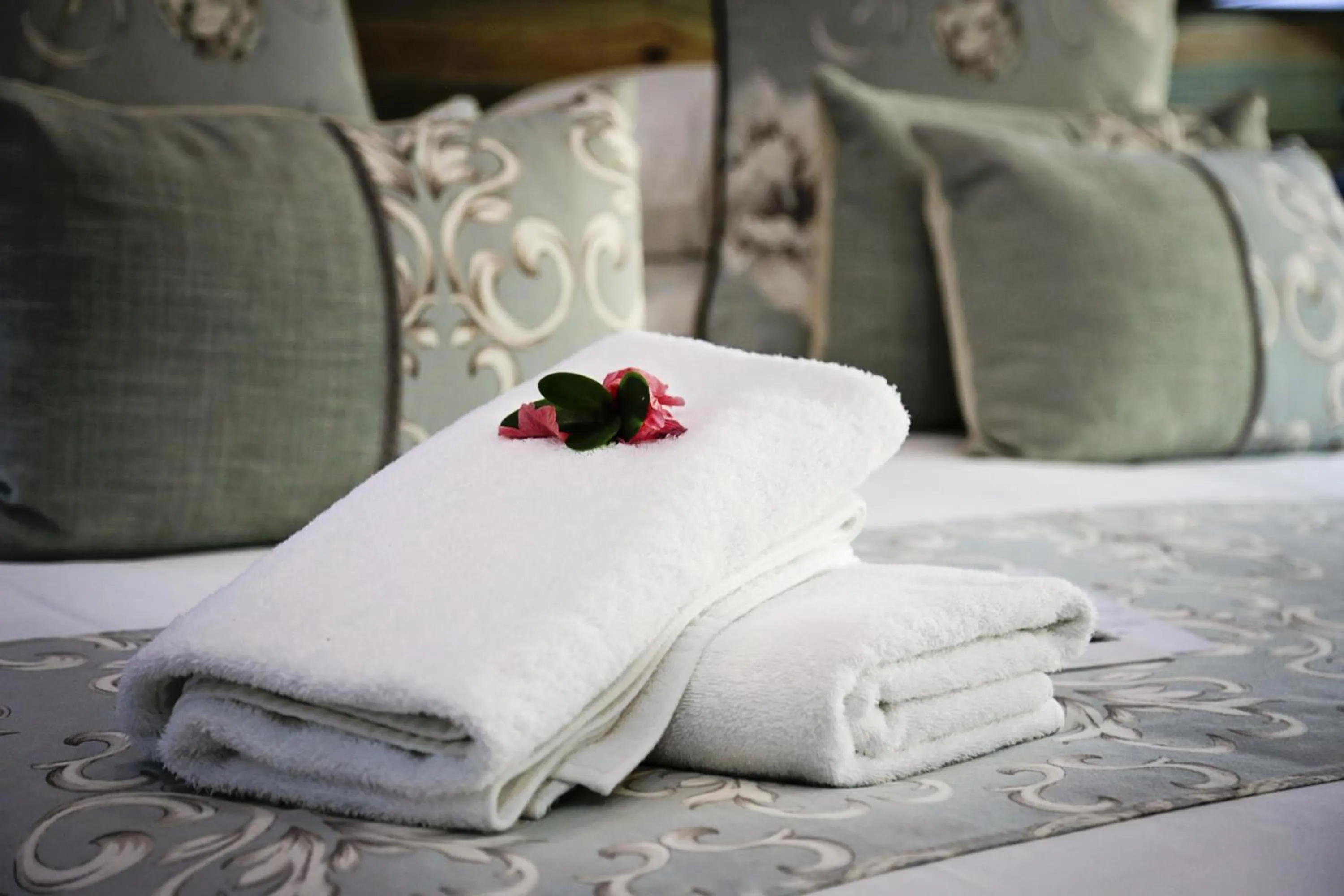 Bed in Emdoneni Lodge with Zululand Cat Conservation Project