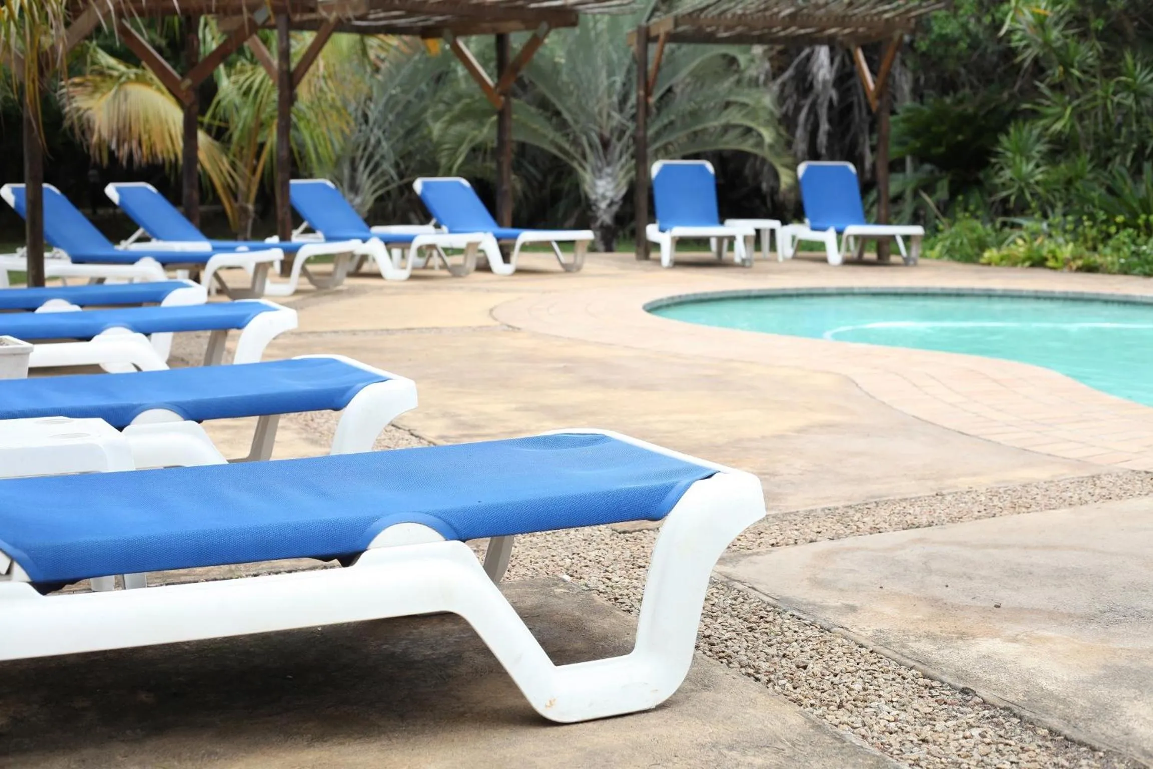 Emdoneni Lodge with Zululand Cat Conservation Project