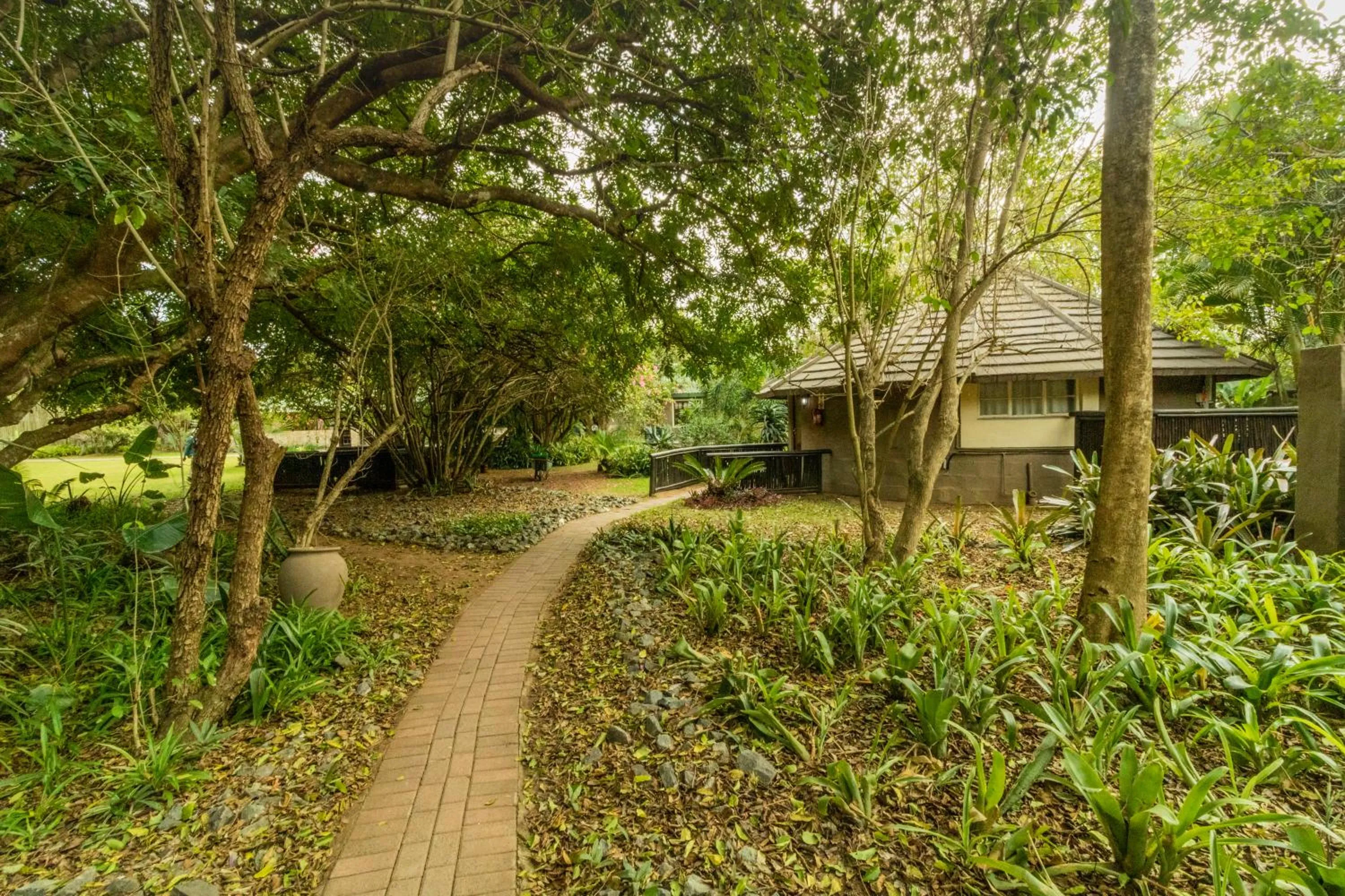 Garden in Emdoneni Lodge with Zululand Cat Conservation Project