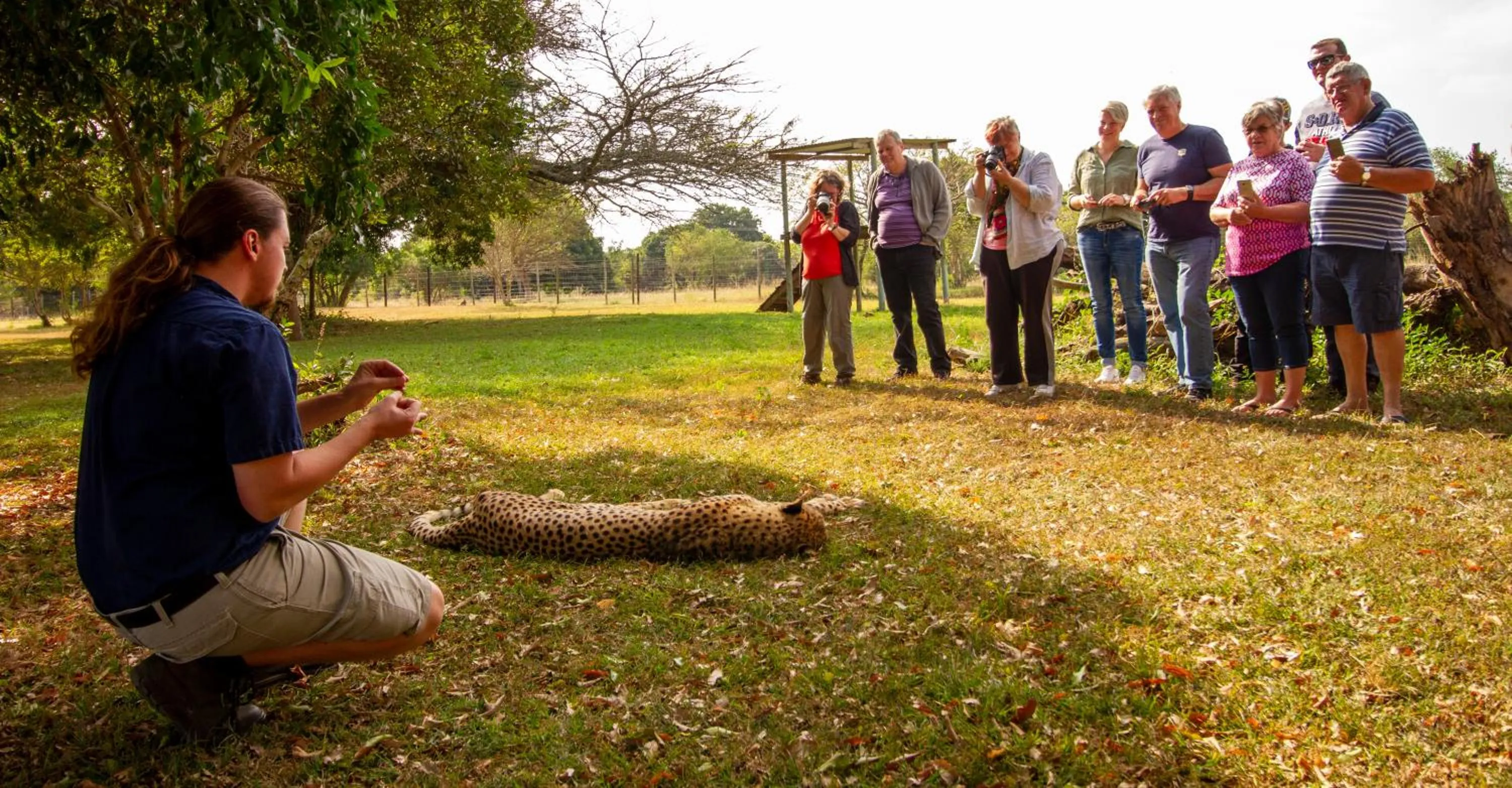 Spring in Emdoneni Lodge with Zululand Cat Conservation Project