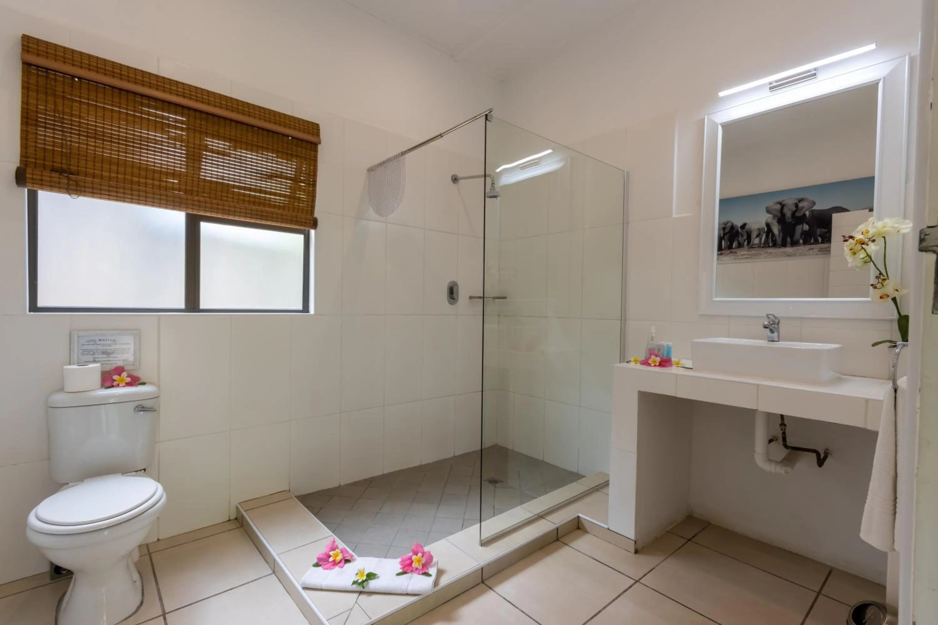 Toilet in Emdoneni Lodge with Zululand Cat Conservation Project