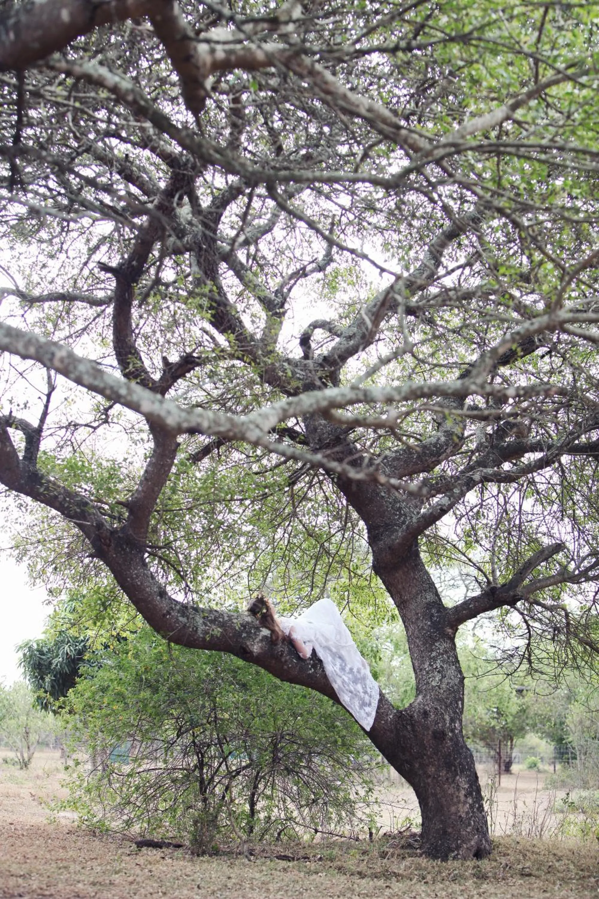 Area and facilities in Emdoneni Lodge with Zululand Cat Conservation Project