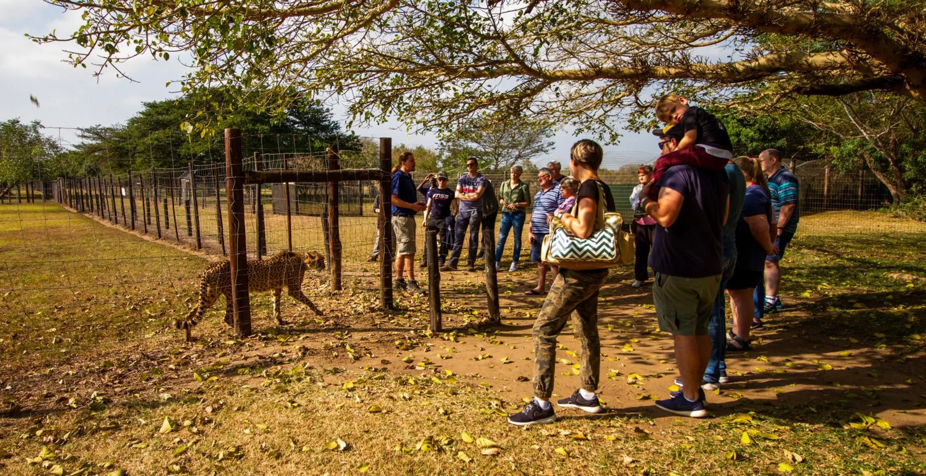 Spring in Emdoneni Lodge with Zululand Cat Conservation Project