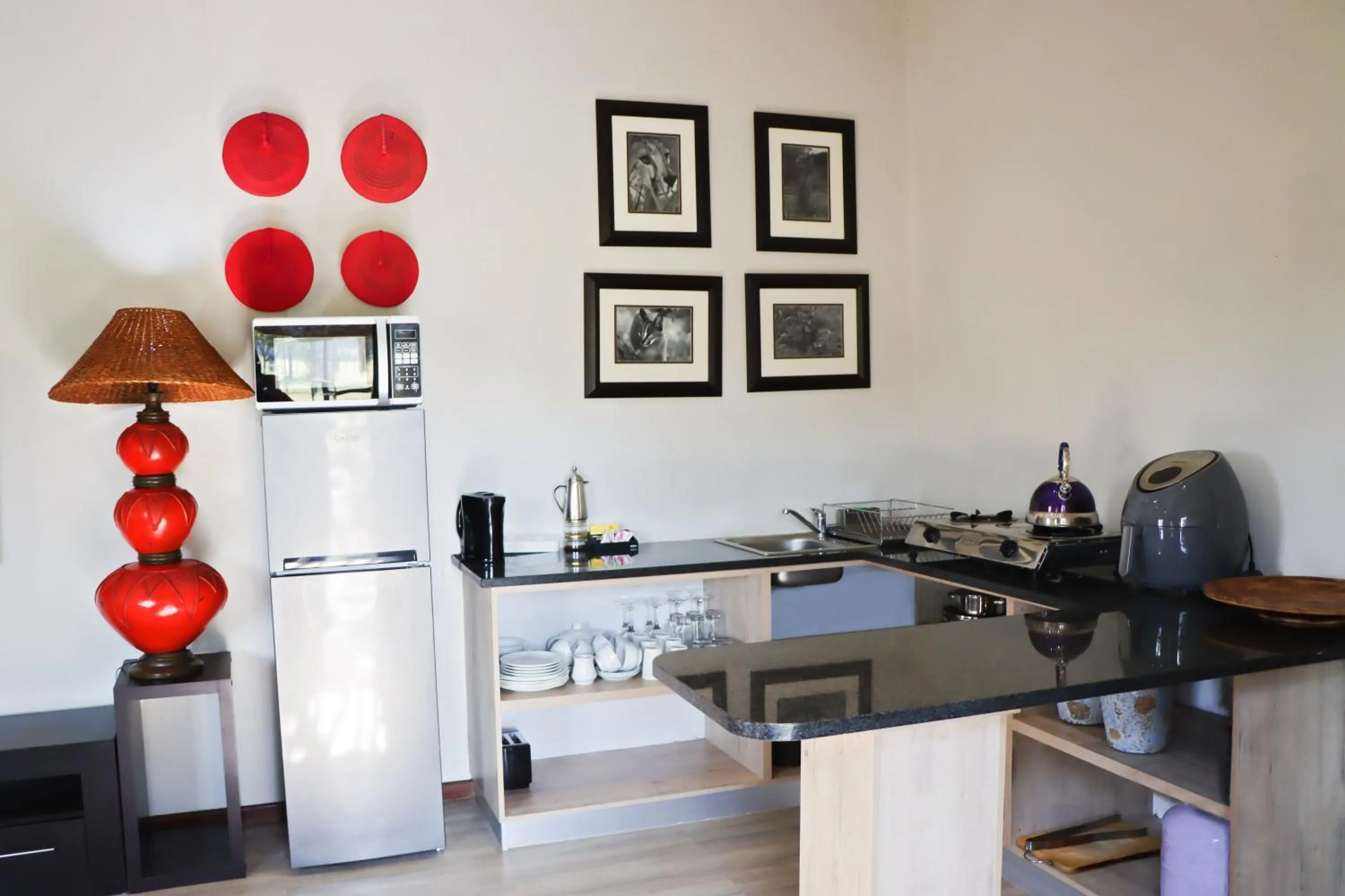 kitchen in Emdoneni Lodge with Zululand Cat Conservation Project