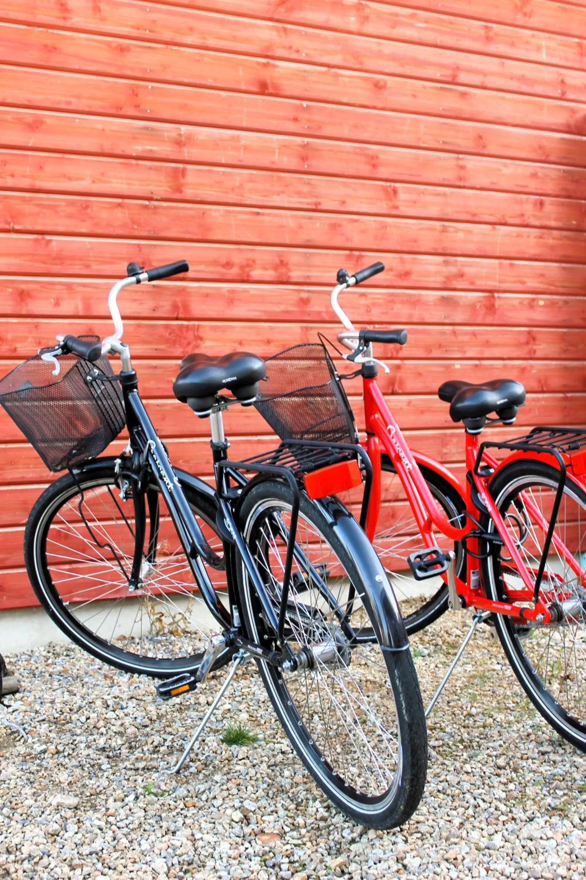 Day in Ivalo River Camping