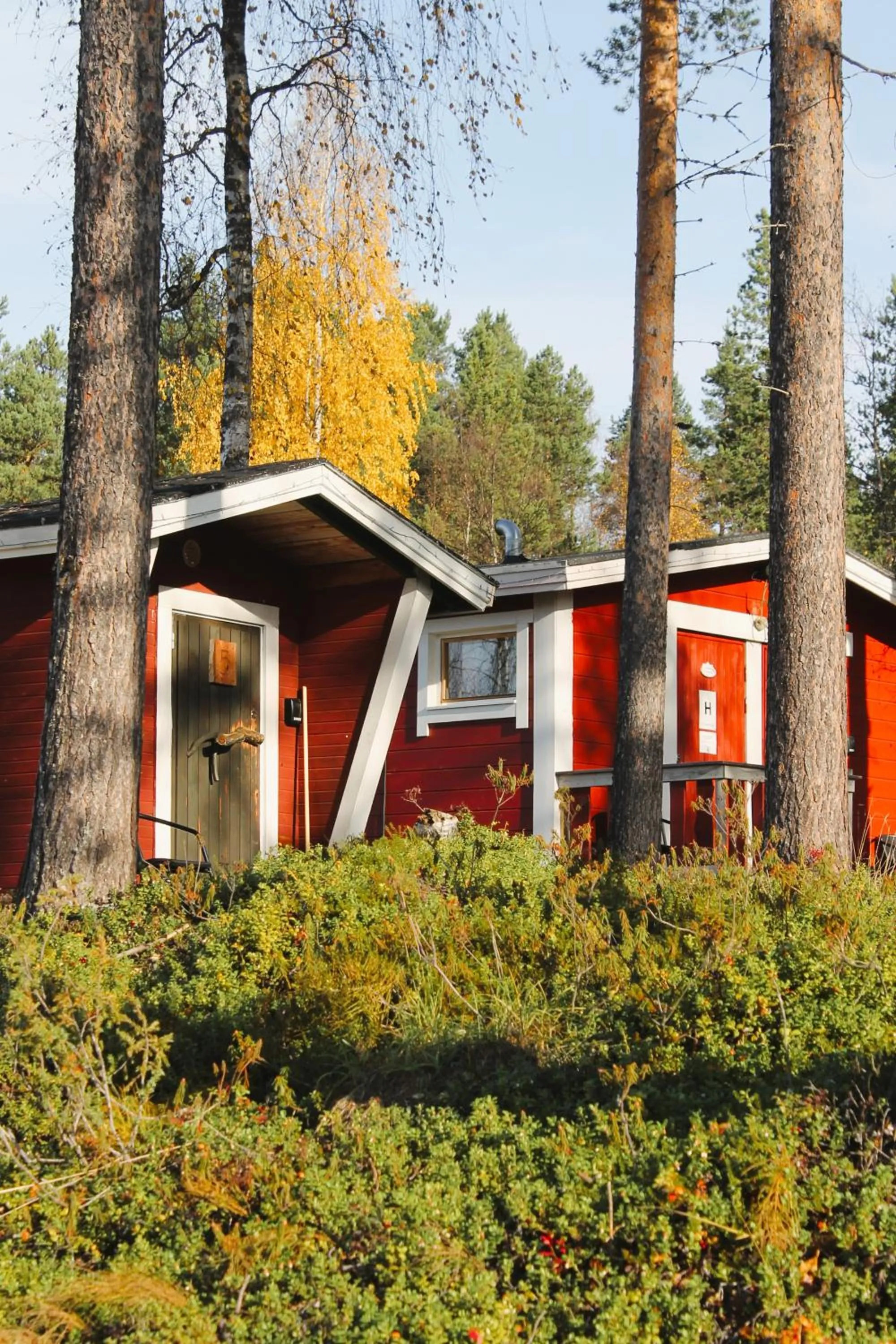 Natural landscape in Ivalo River Camping