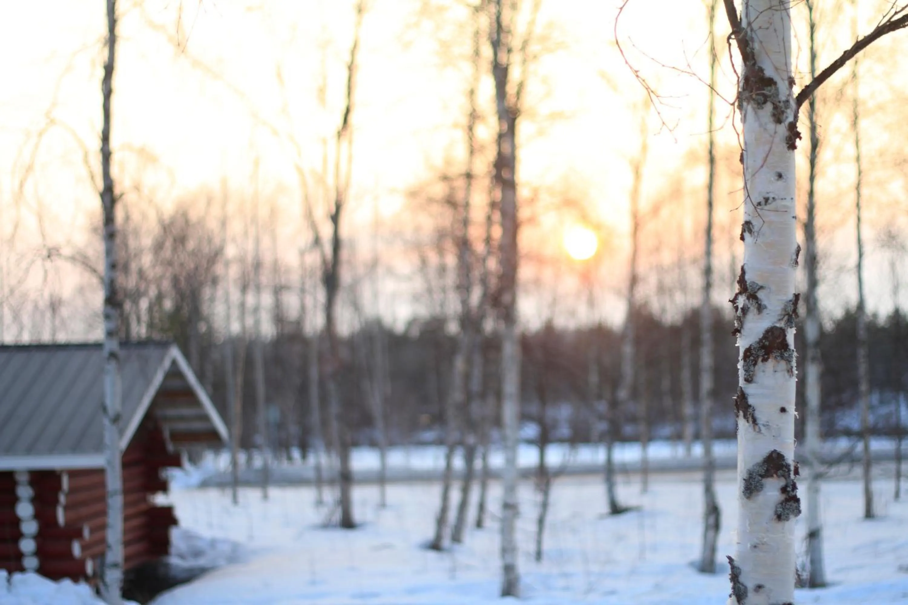 Neighbourhood in Ivalo River Camping