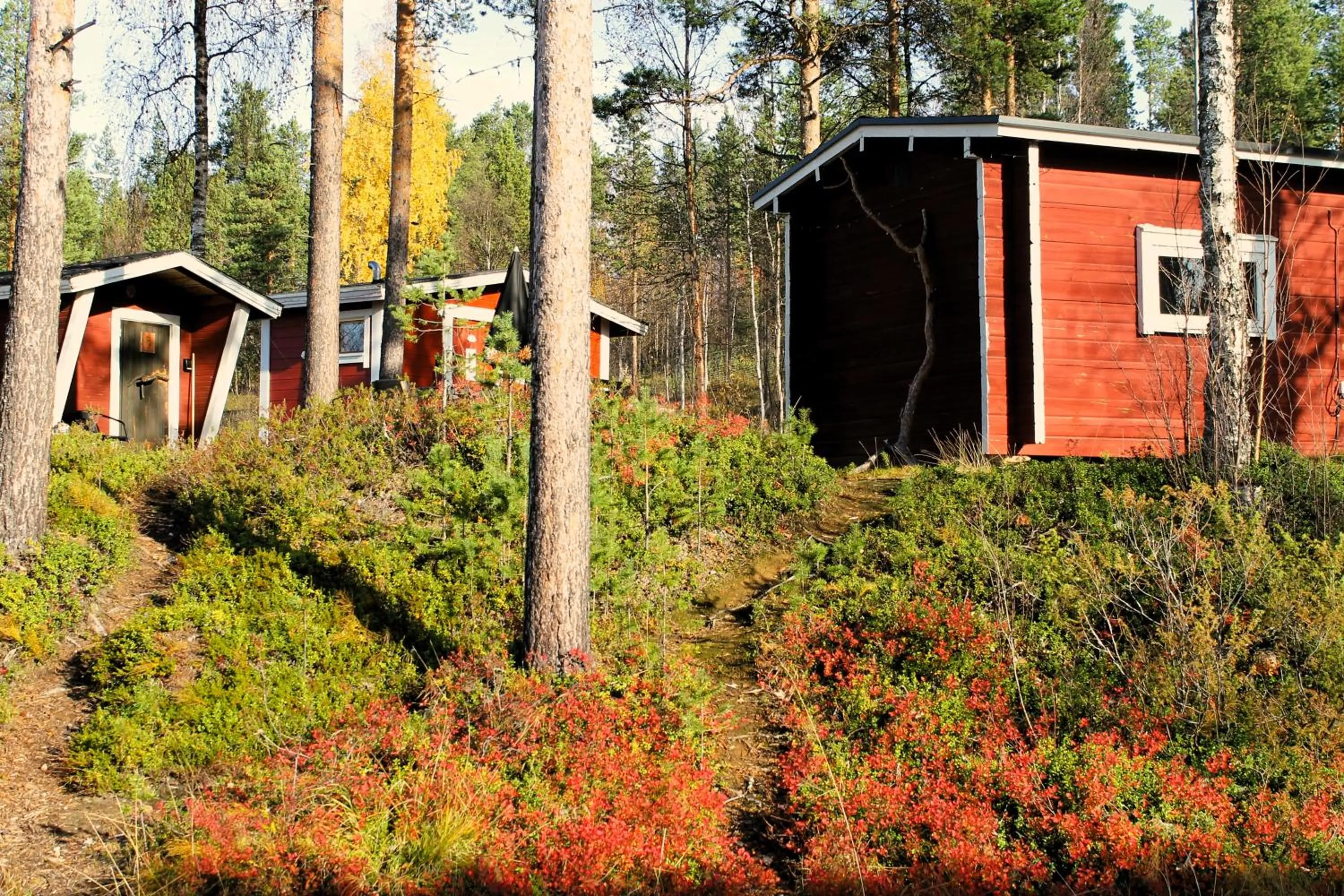 Property building in Ivalo River Camping