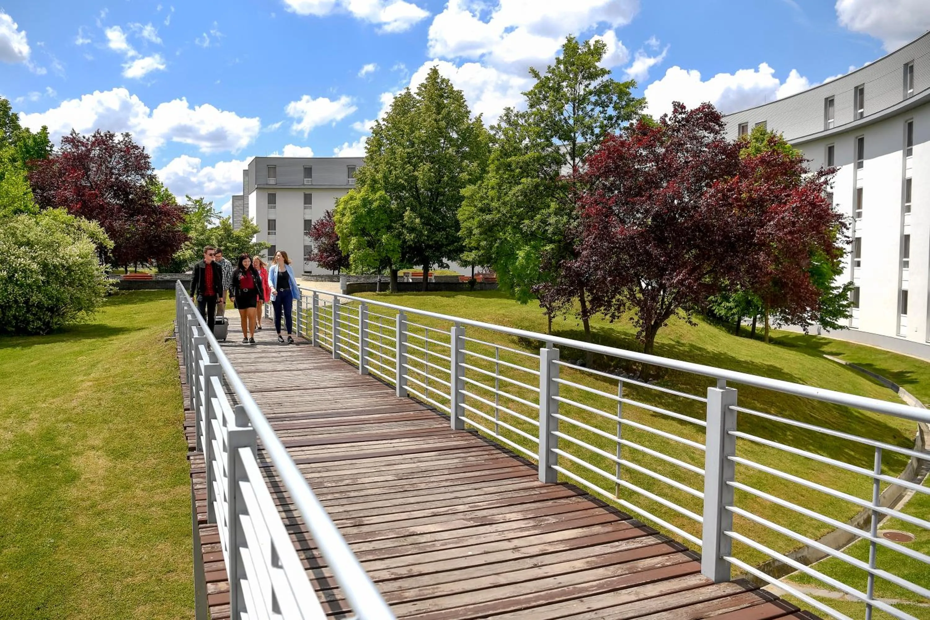 Natural landscape in Campus Hotel