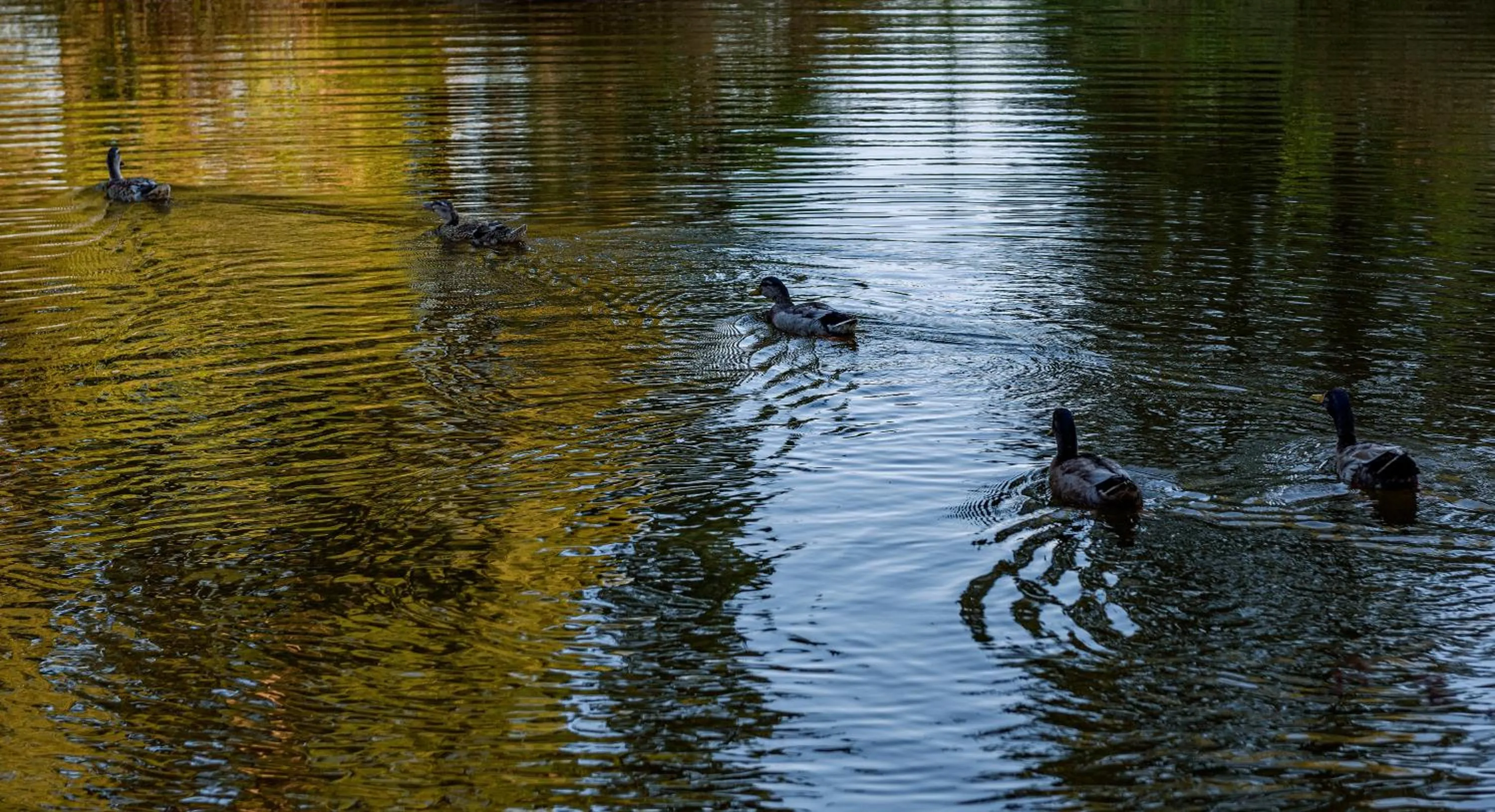 Garden in Kakamas Hotel