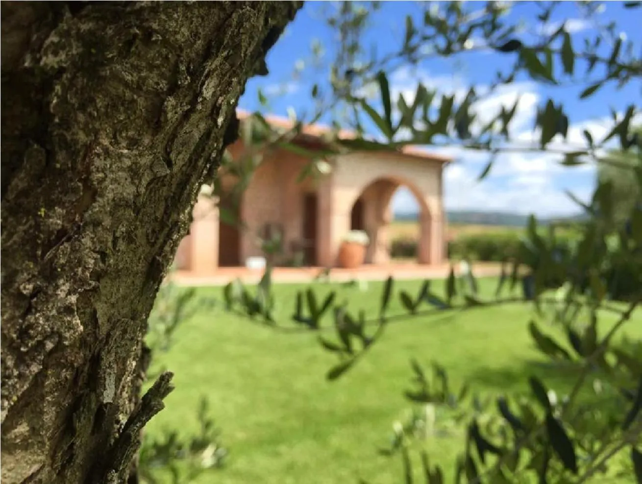 Garden in Bio Agriturismo Le Cascatelle