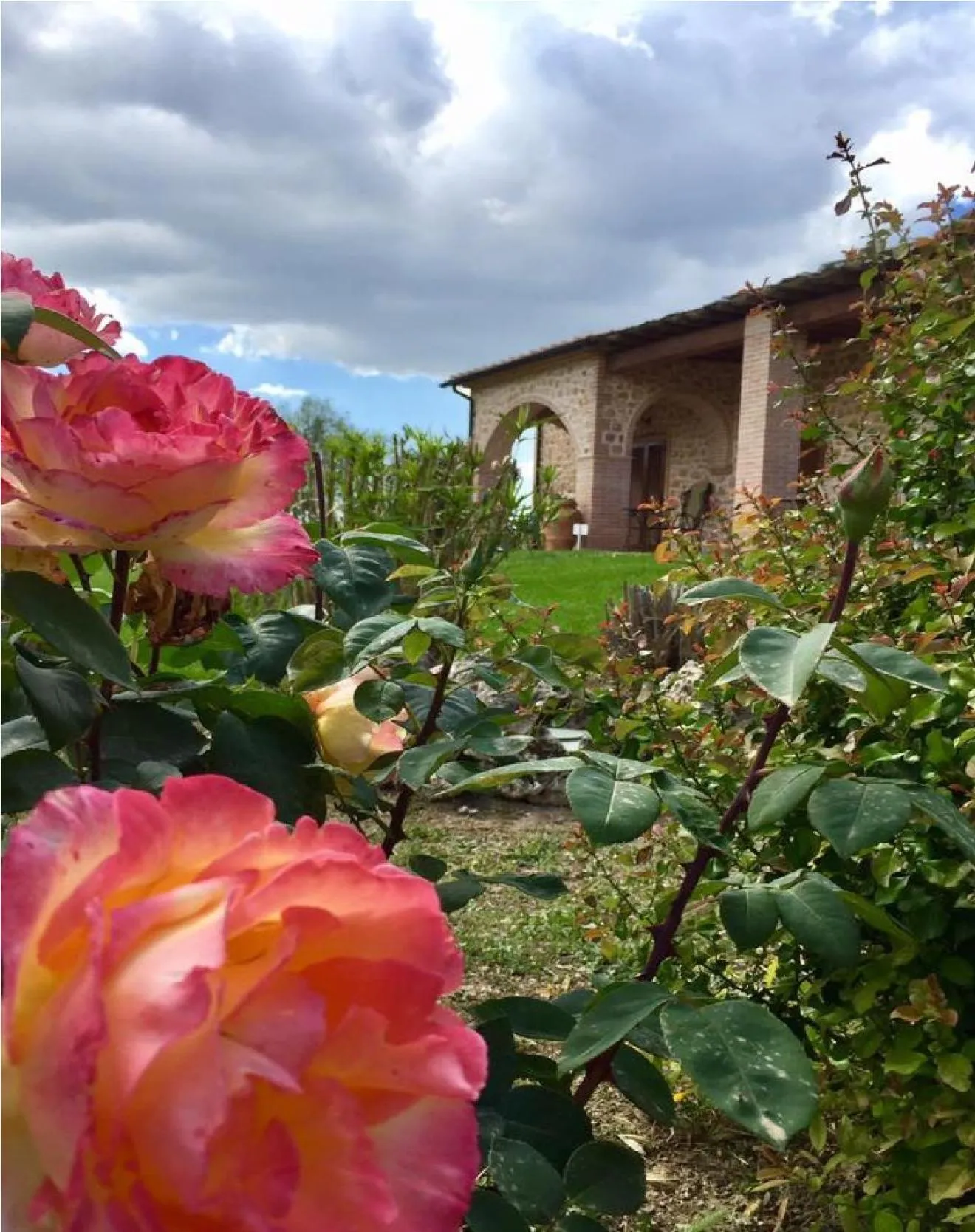 Garden in Bio Agriturismo Le Cascatelle