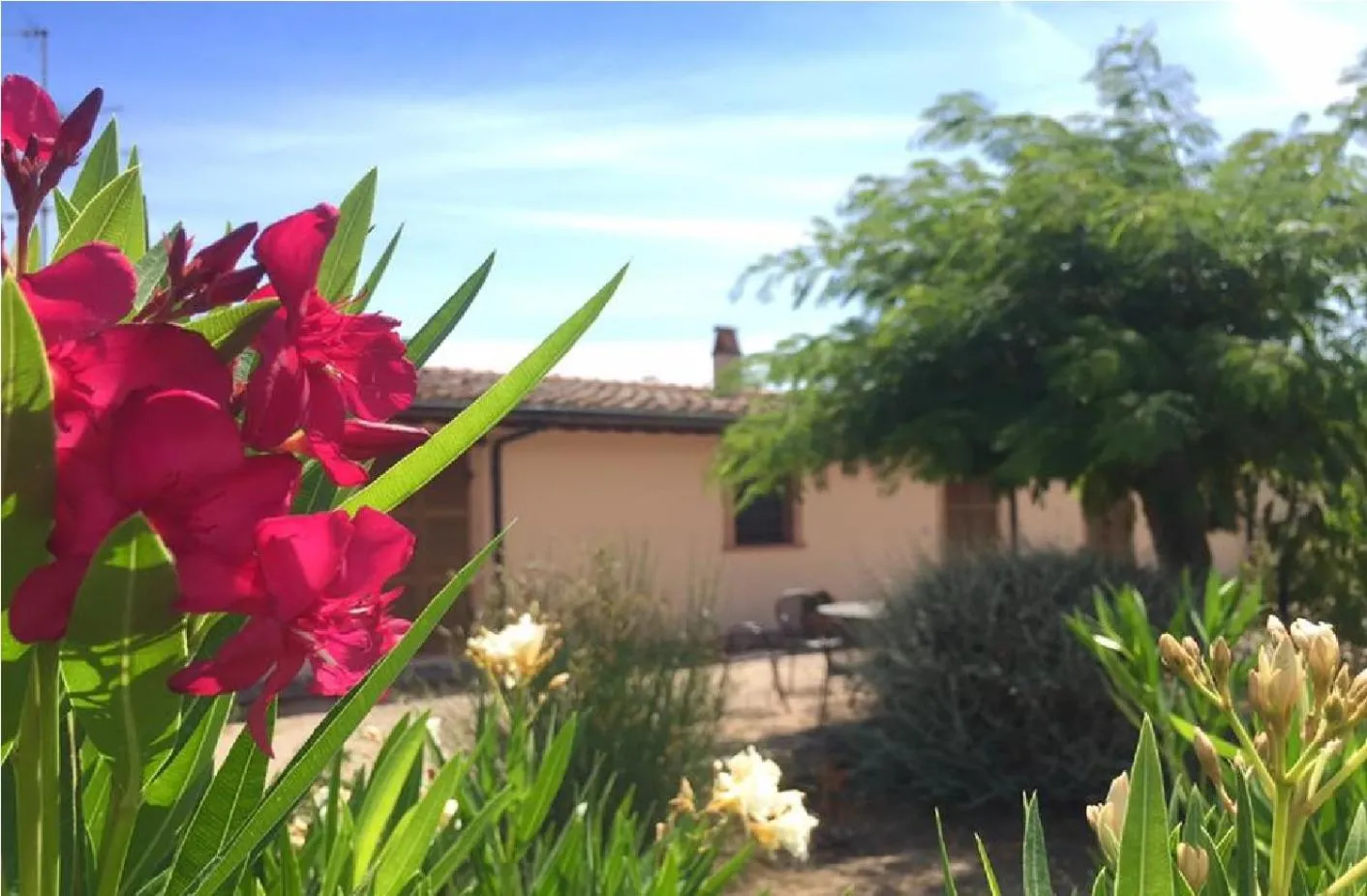 Garden in Bio Agriturismo Le Cascatelle