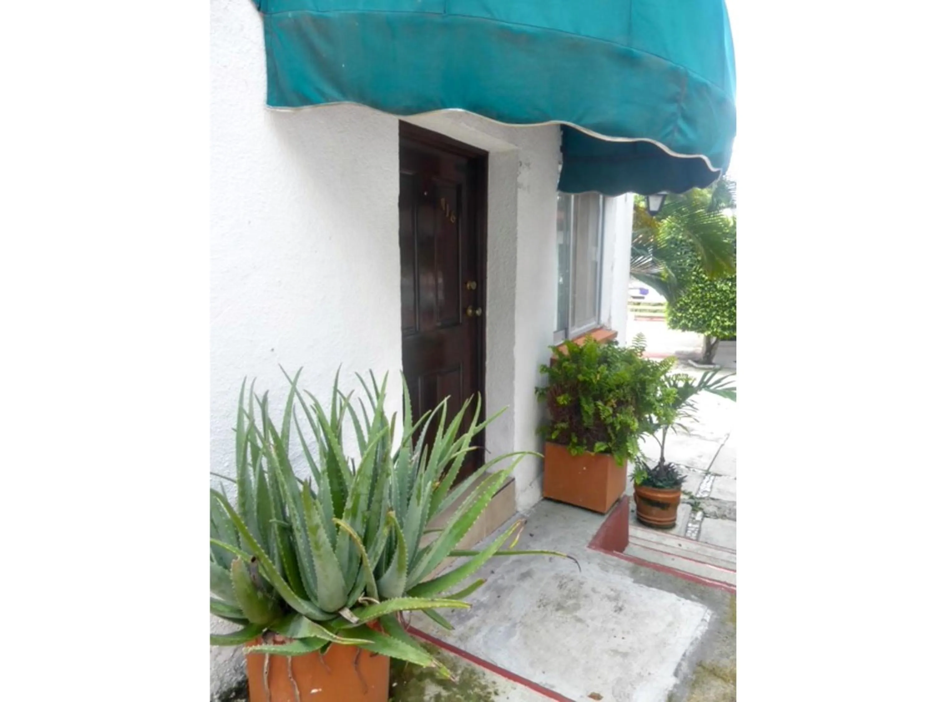 Hotel Bajo el Volcan