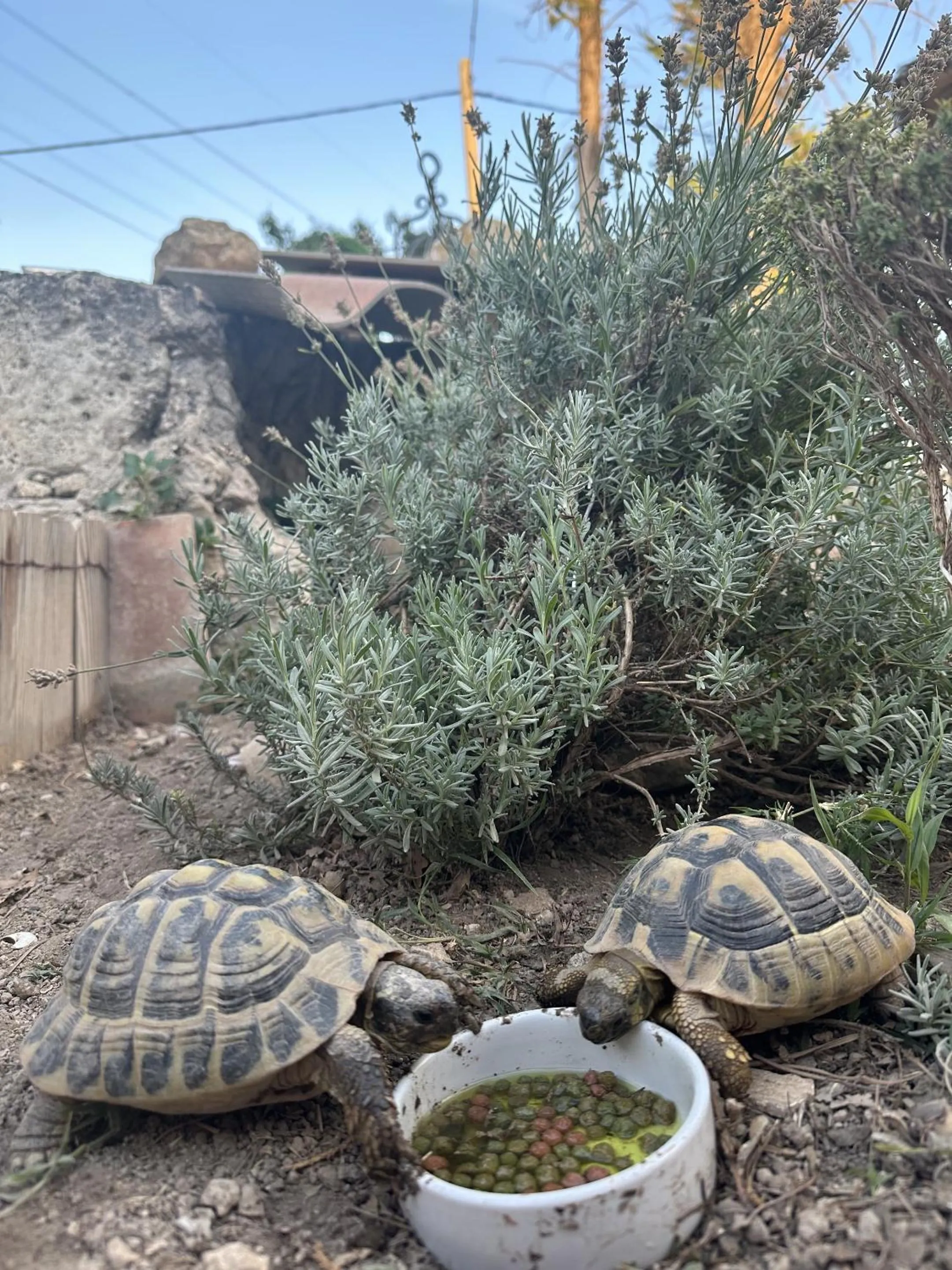 Natural landscape in Le Moulin de Sonnailles