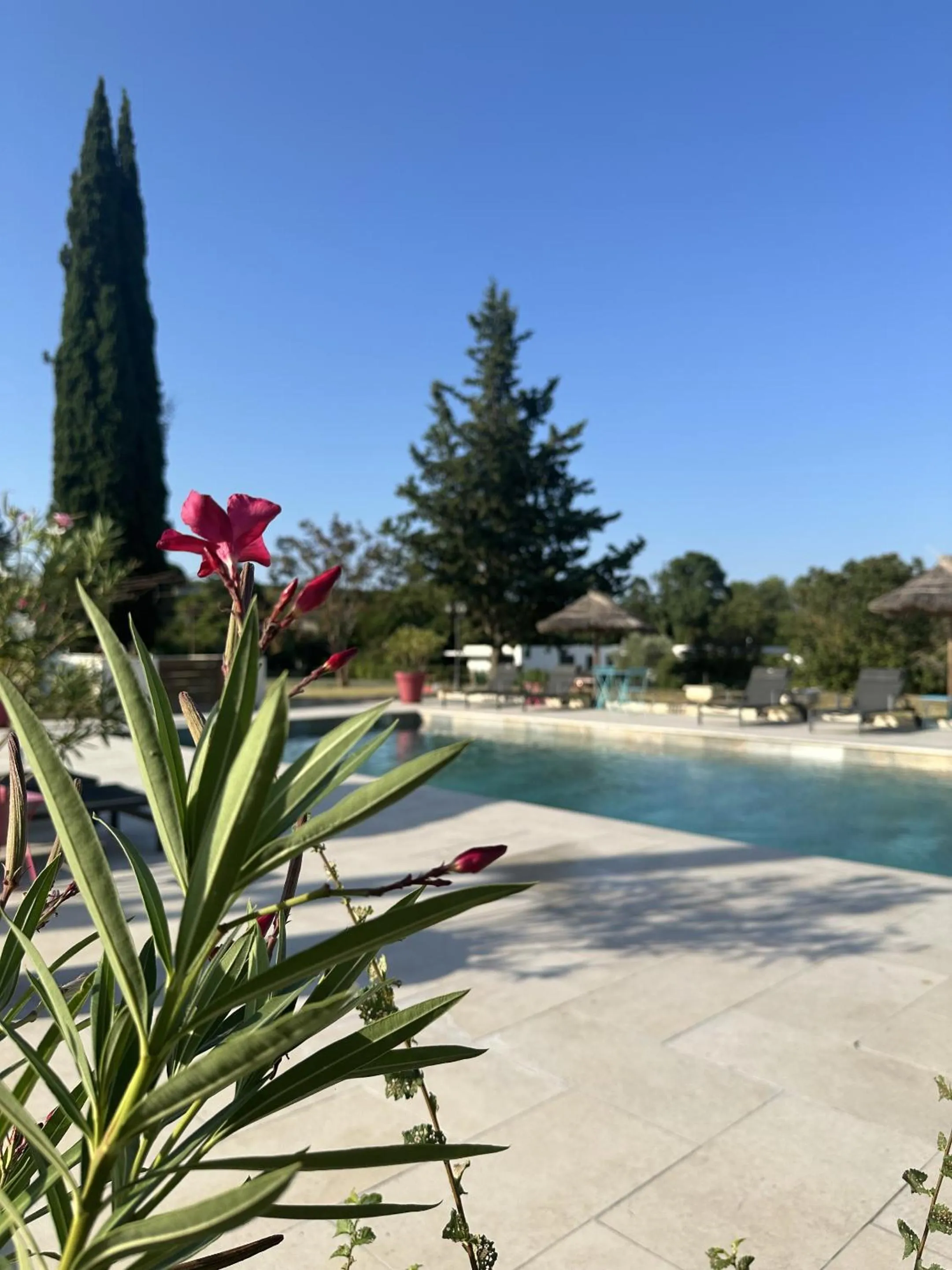 Pool view in Le Moulin de Sonnailles