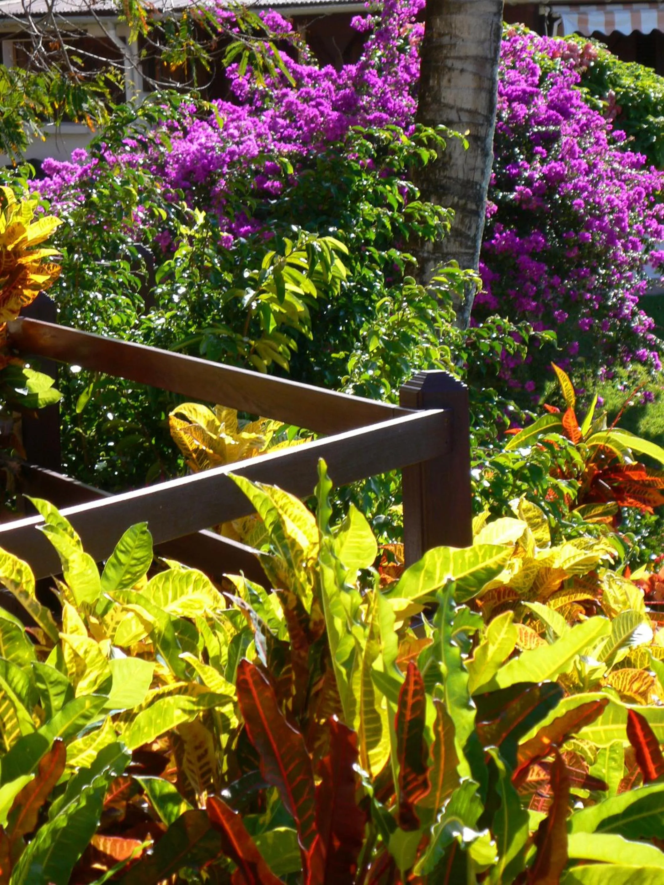 Garden in Habitation Grande Anse Résidence hôtelière