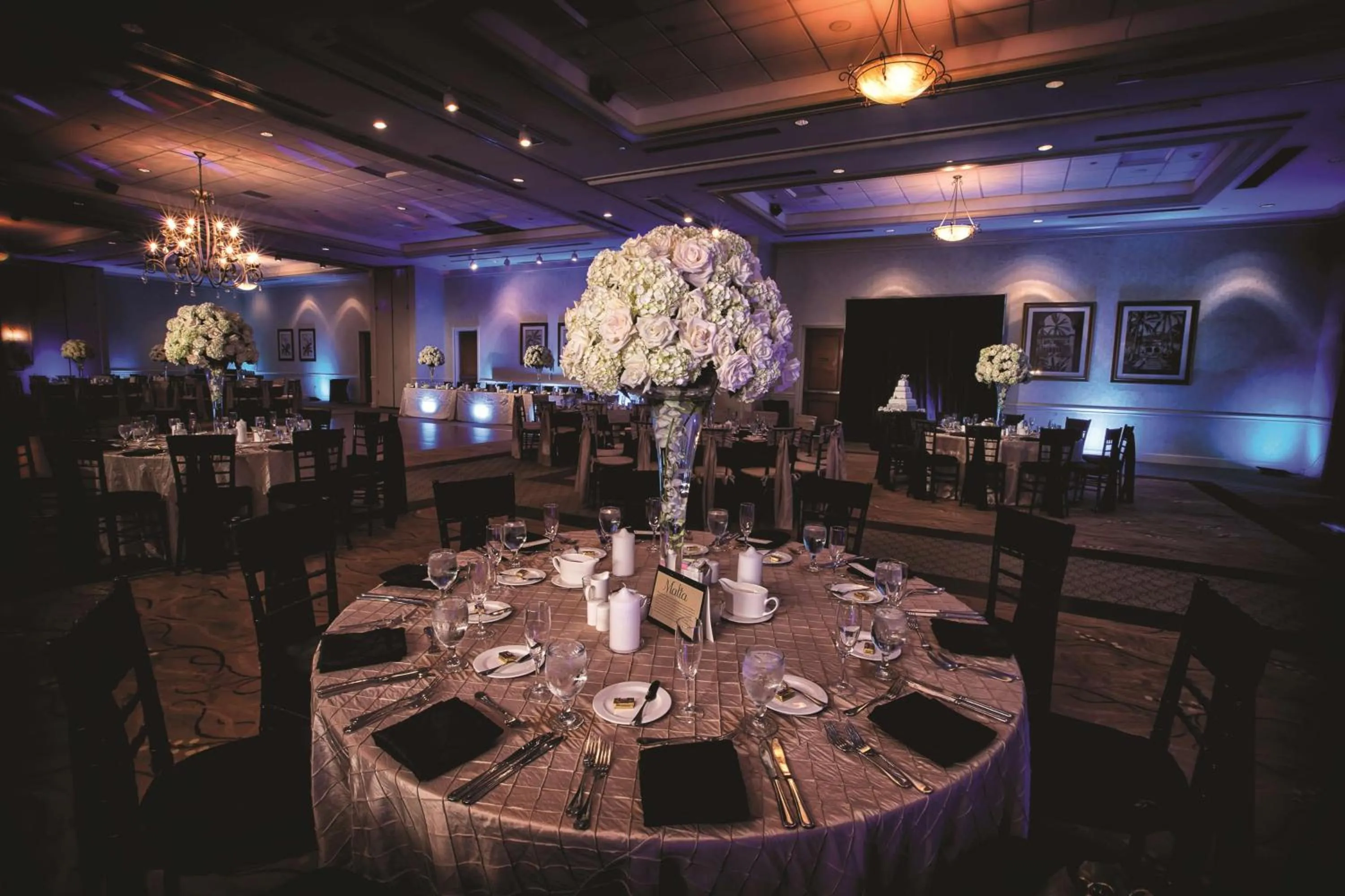 Meeting/conference room in DoubleTree by Hilton Sunrise - Sawgrass Mills