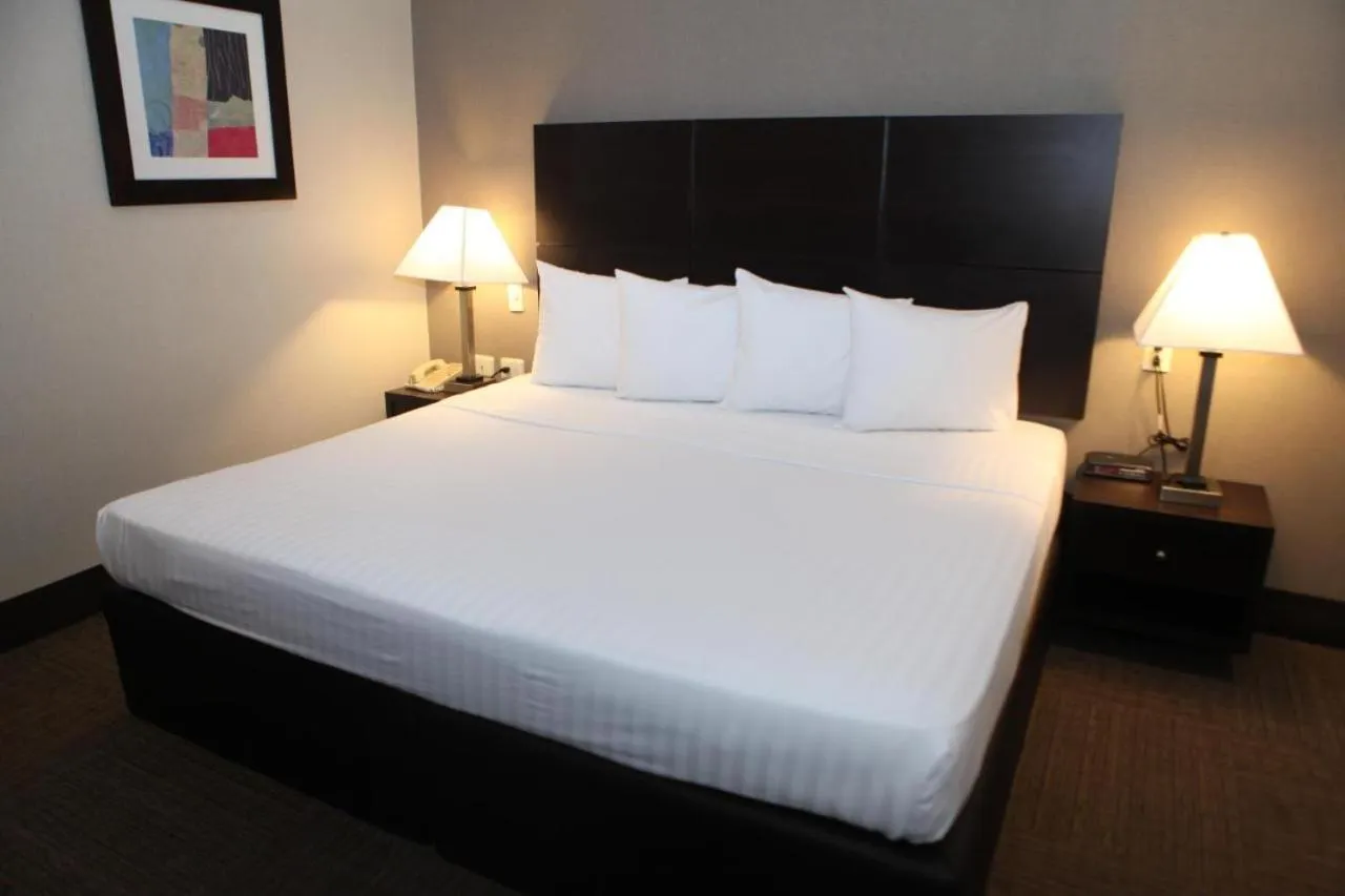 Bed in Everest Ciudad Victoria