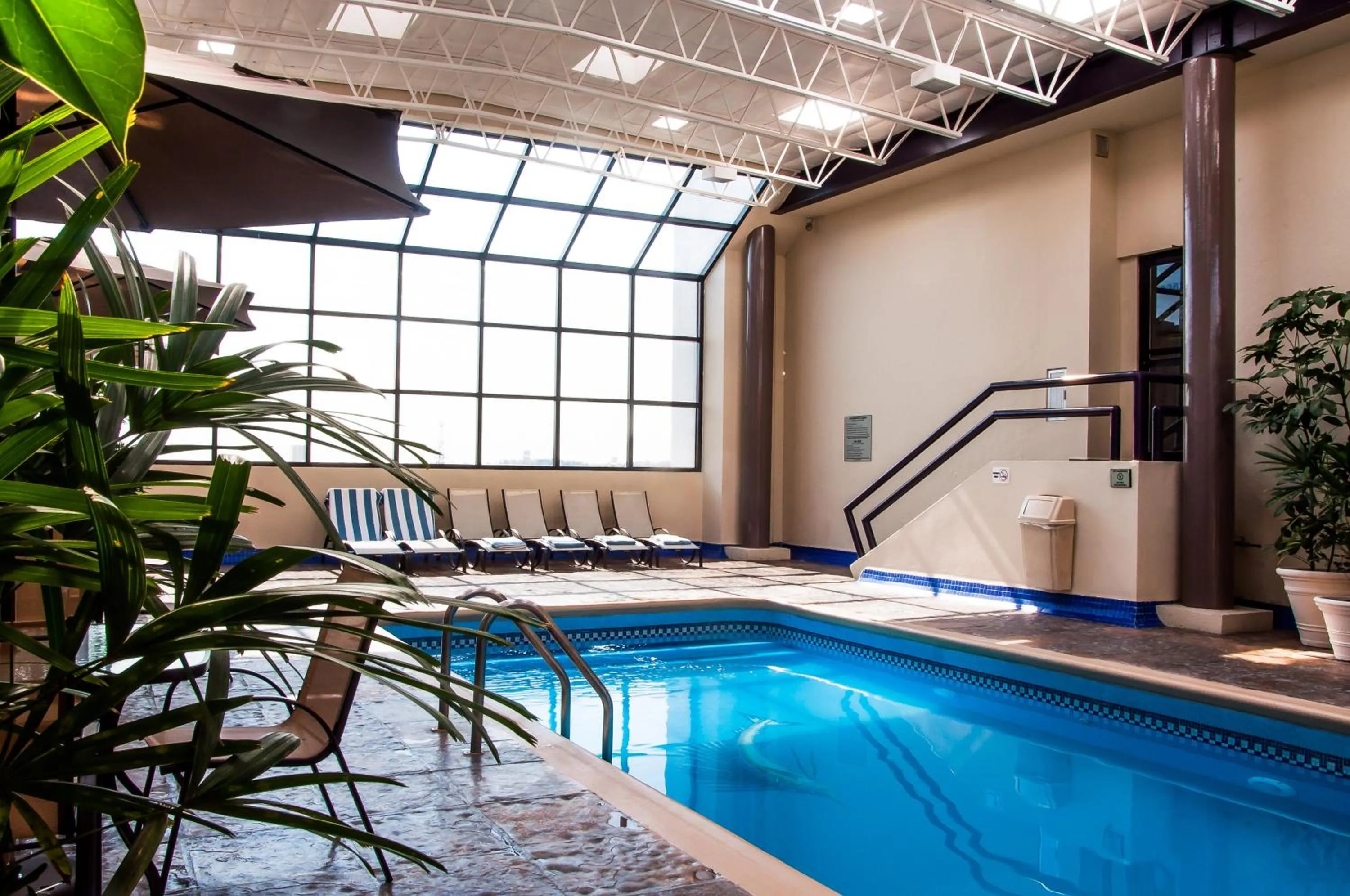 Swimming pool in Everest Ciudad Victoria