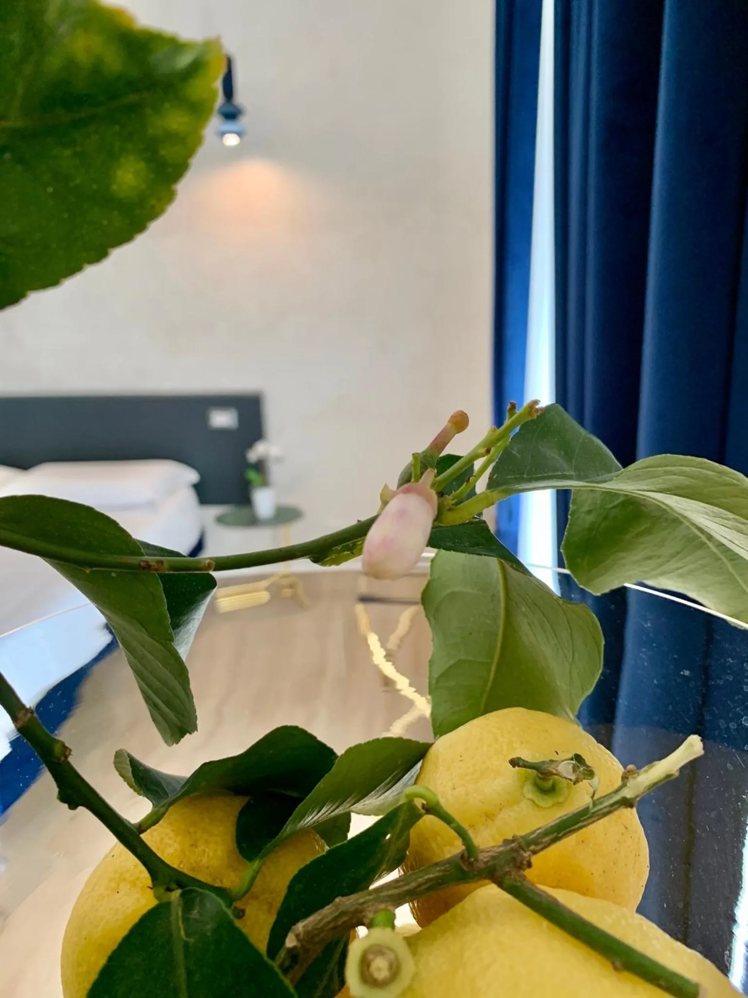 Decorative detail in Le Marinelle Aff Trani