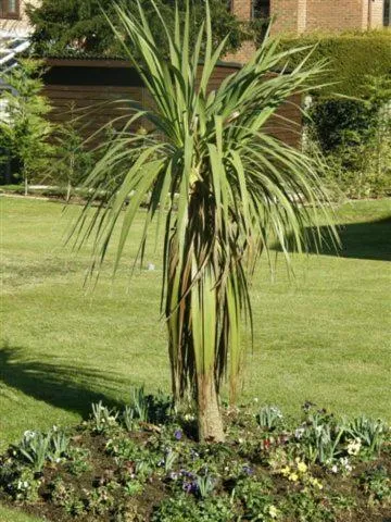 Garden in Travelrest Fareham Solent Gateway