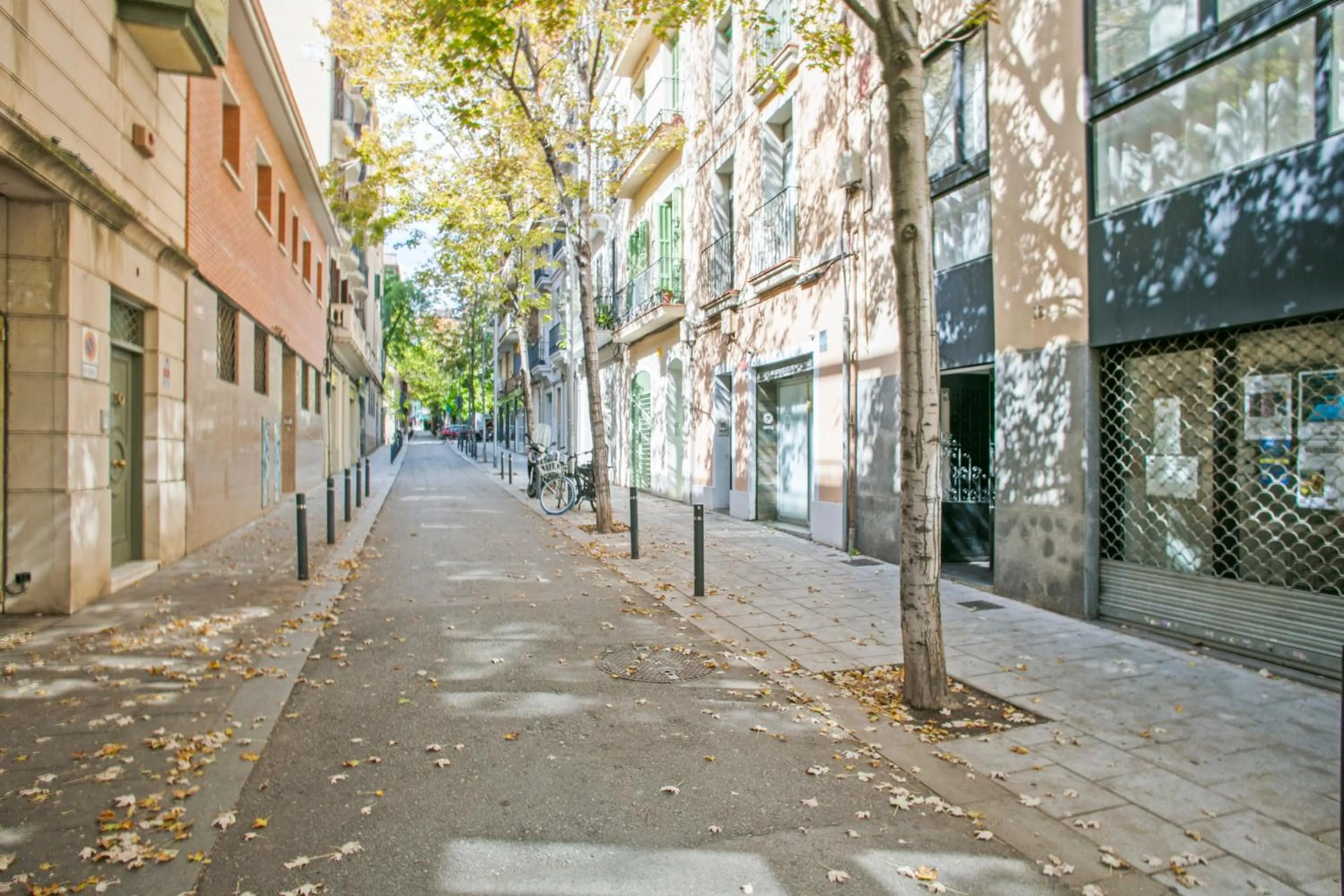 Street view in Alcam Studio Alio3