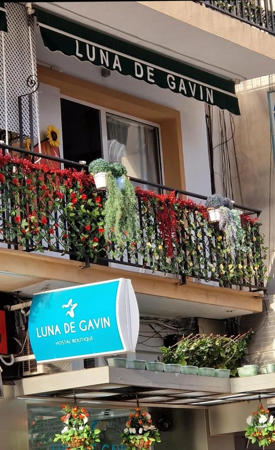 Hostal Boutique Luna de Gavín
