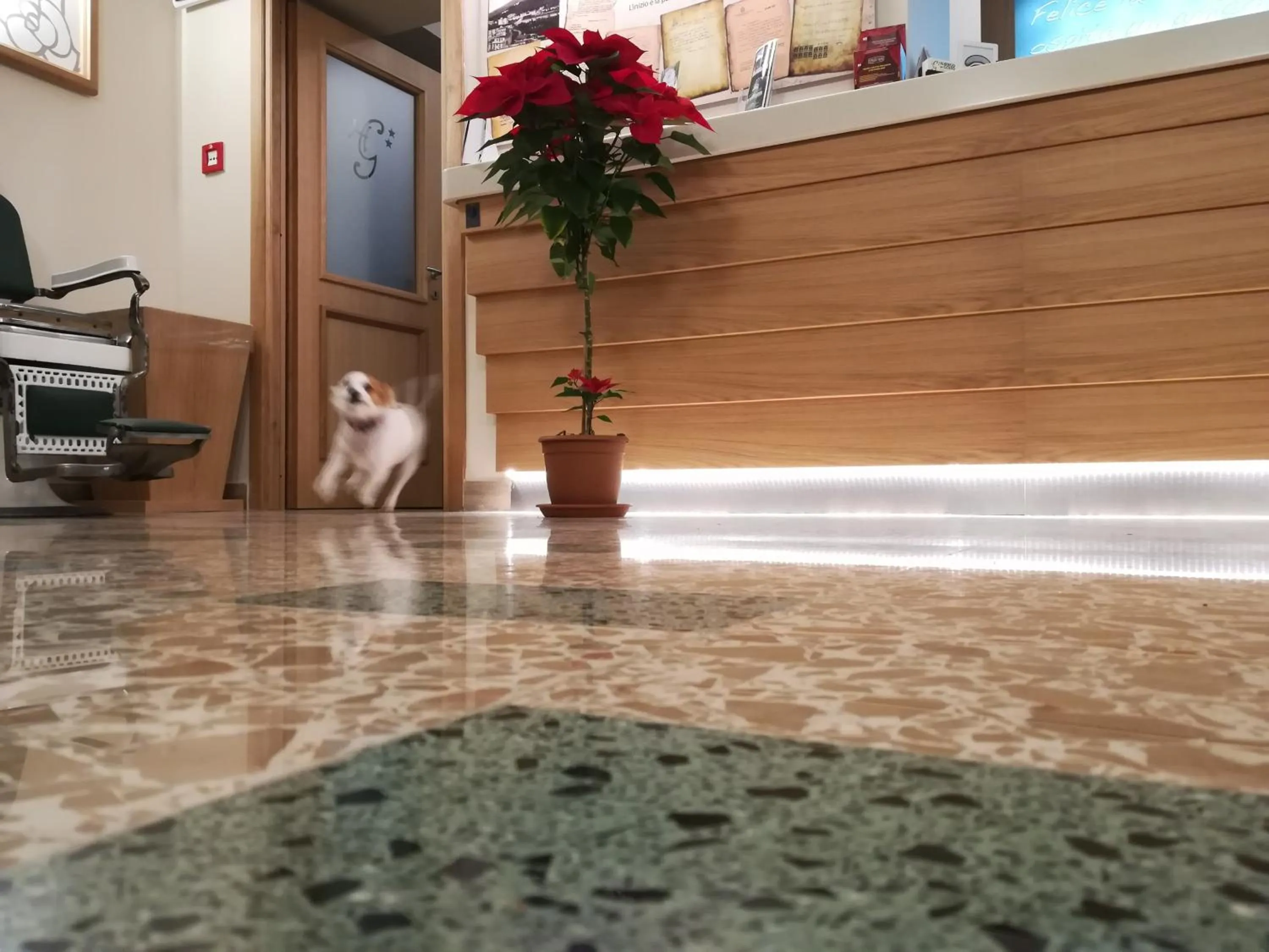 Lobby or reception in Hotel Del Golfo