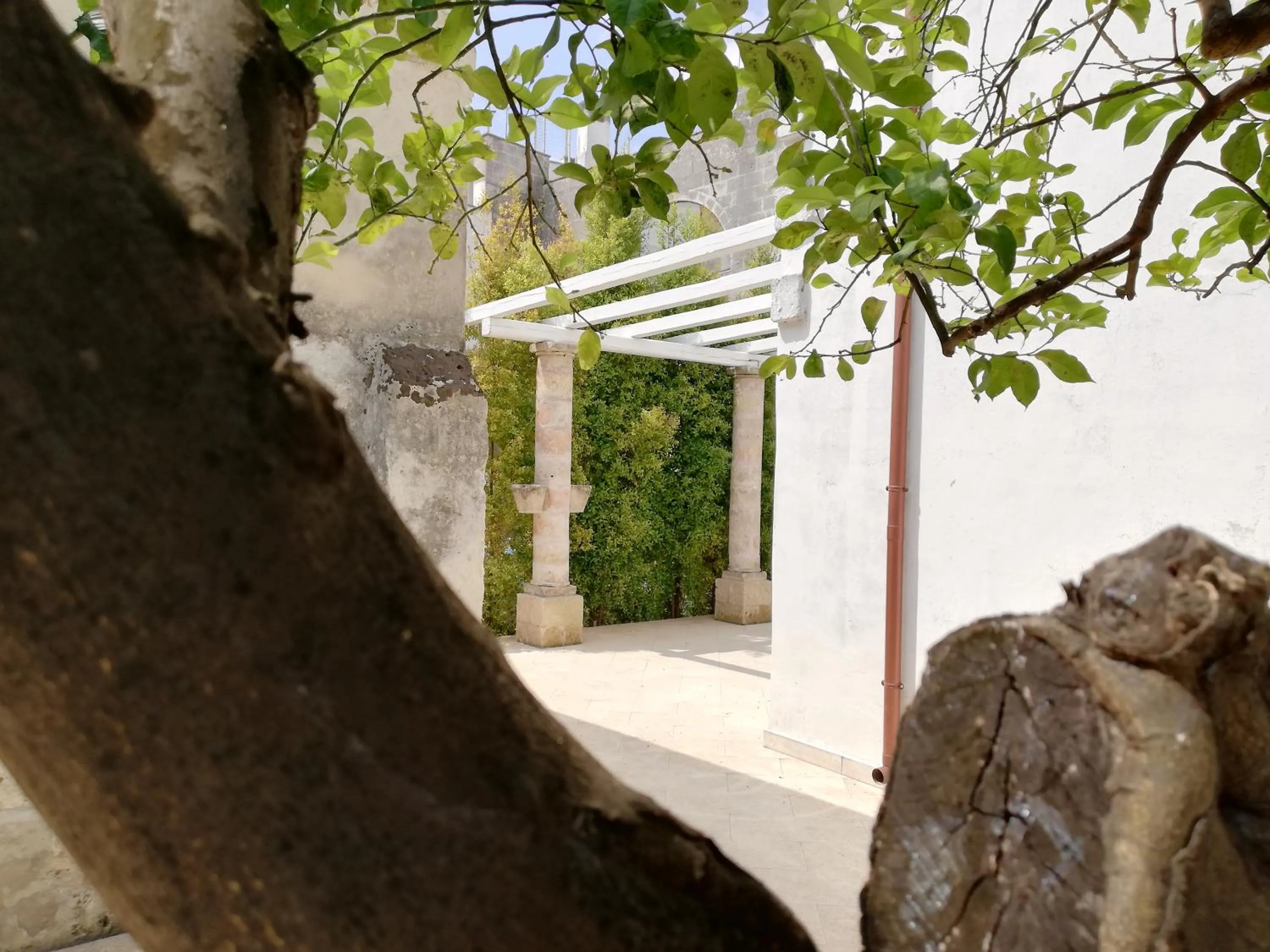 Garden view in Agorà Suites & Apartments