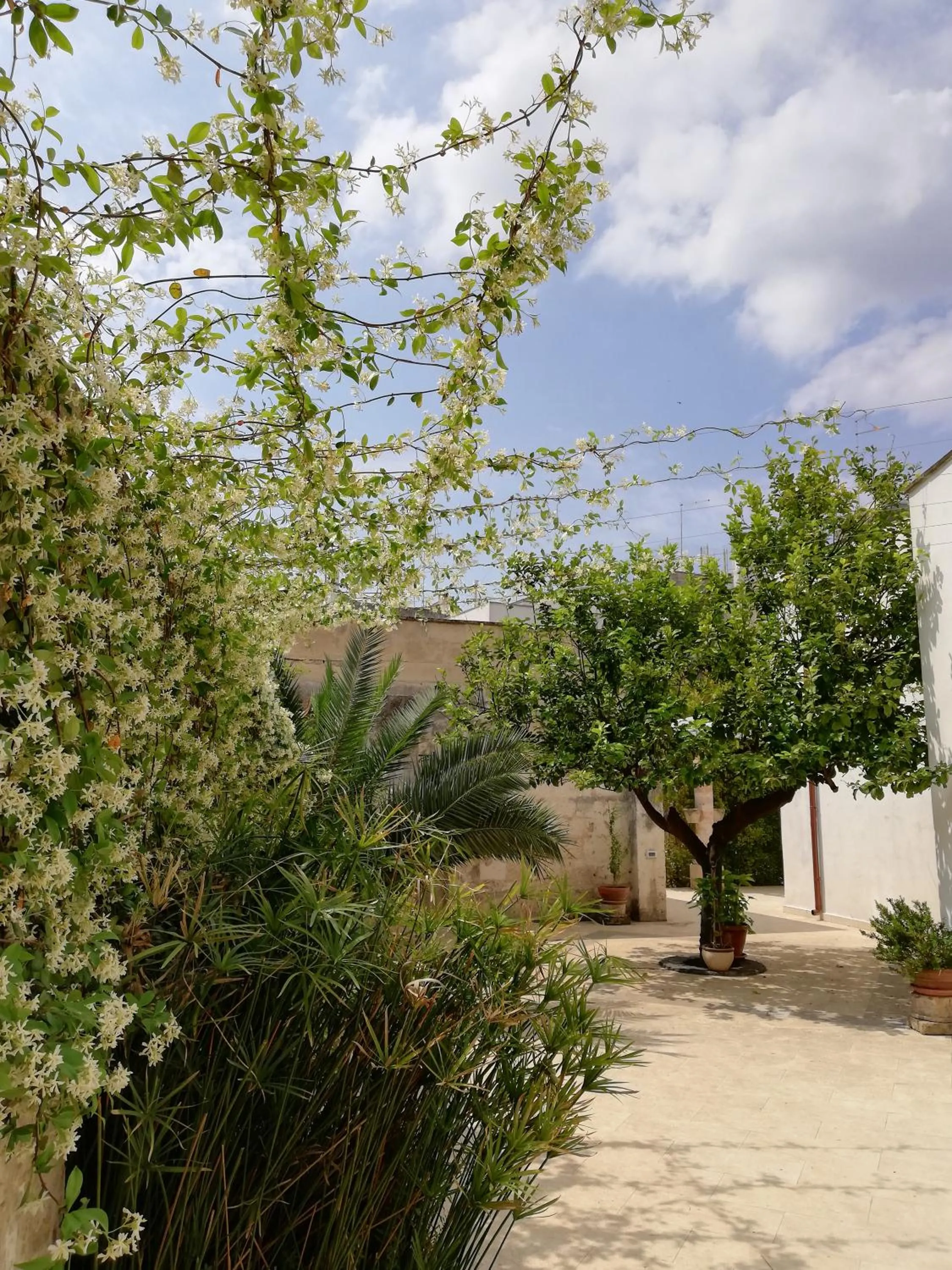 Garden view in Agorà Suites & Apartments