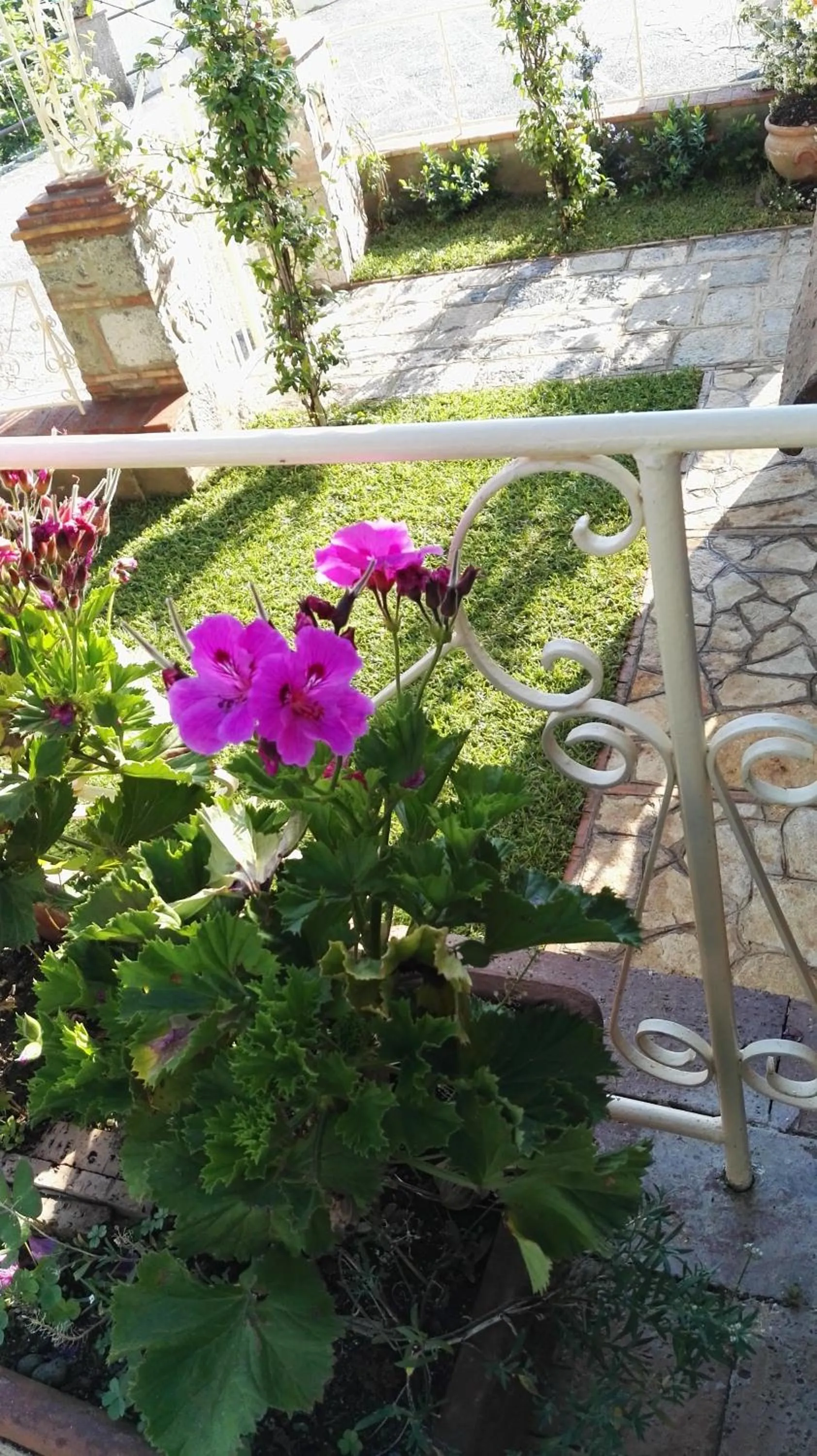 Spring in B&B La Torretta