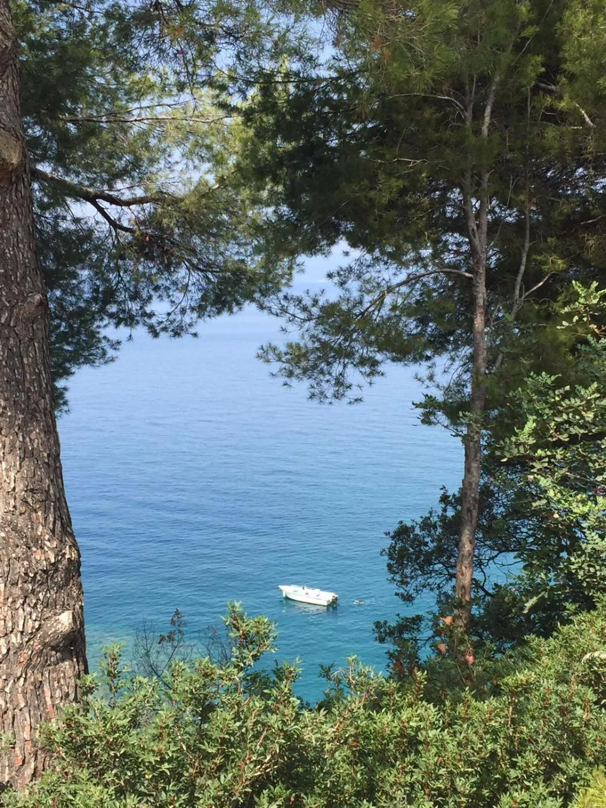 Natural landscape in B&B La Torretta