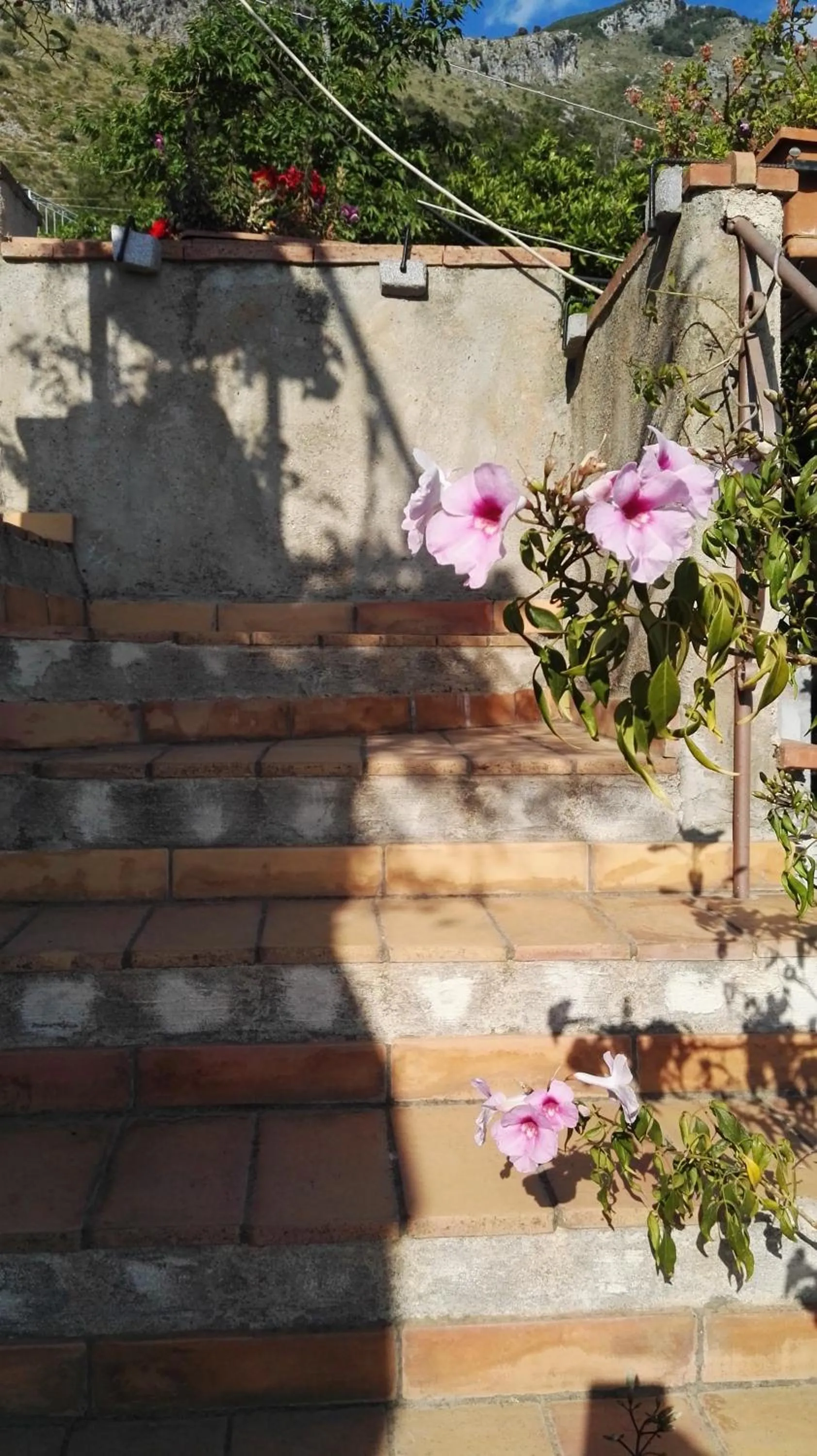 Decorative detail in B&B La Torretta