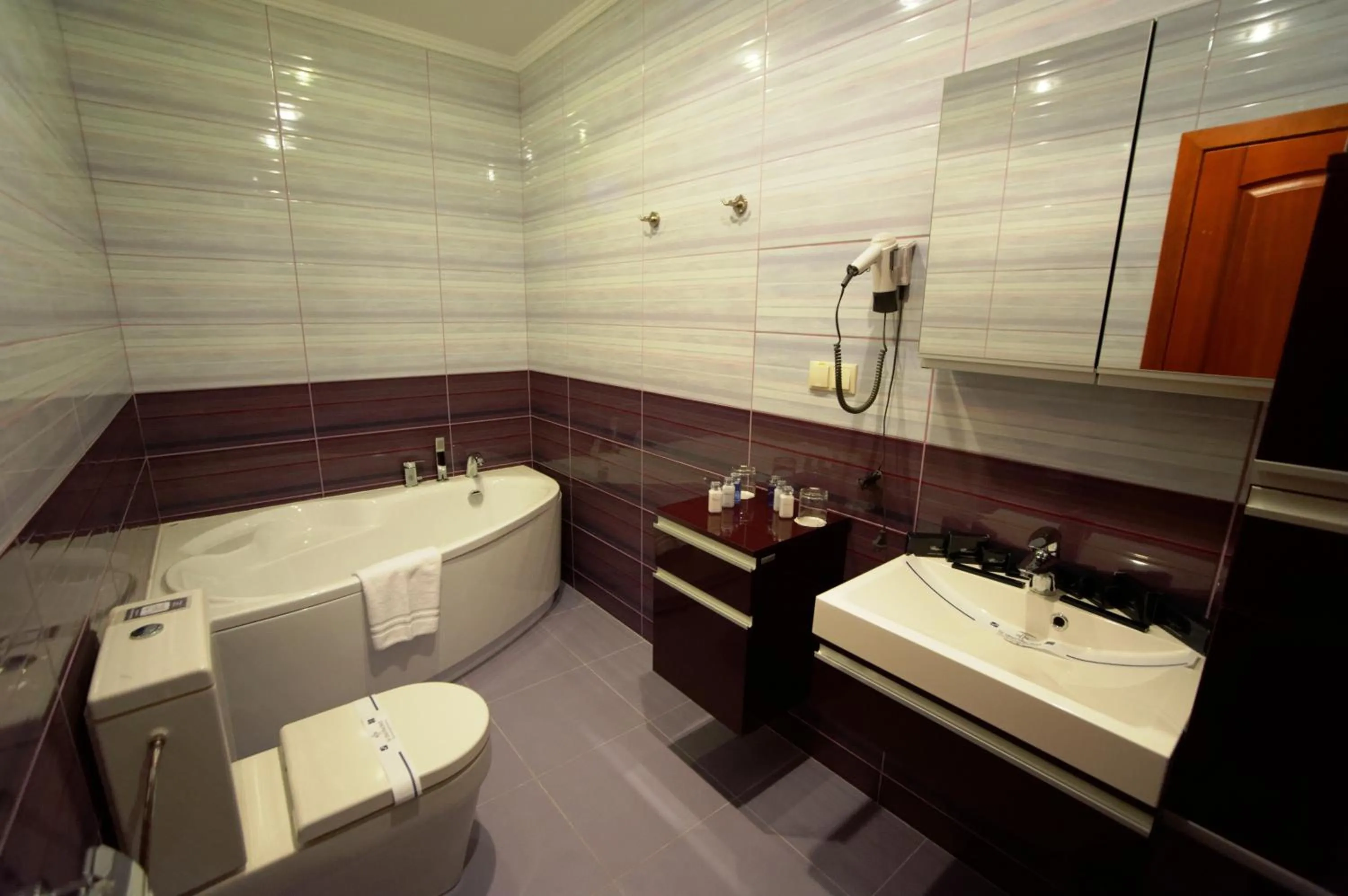 Bathroom in Hotel Kyiv