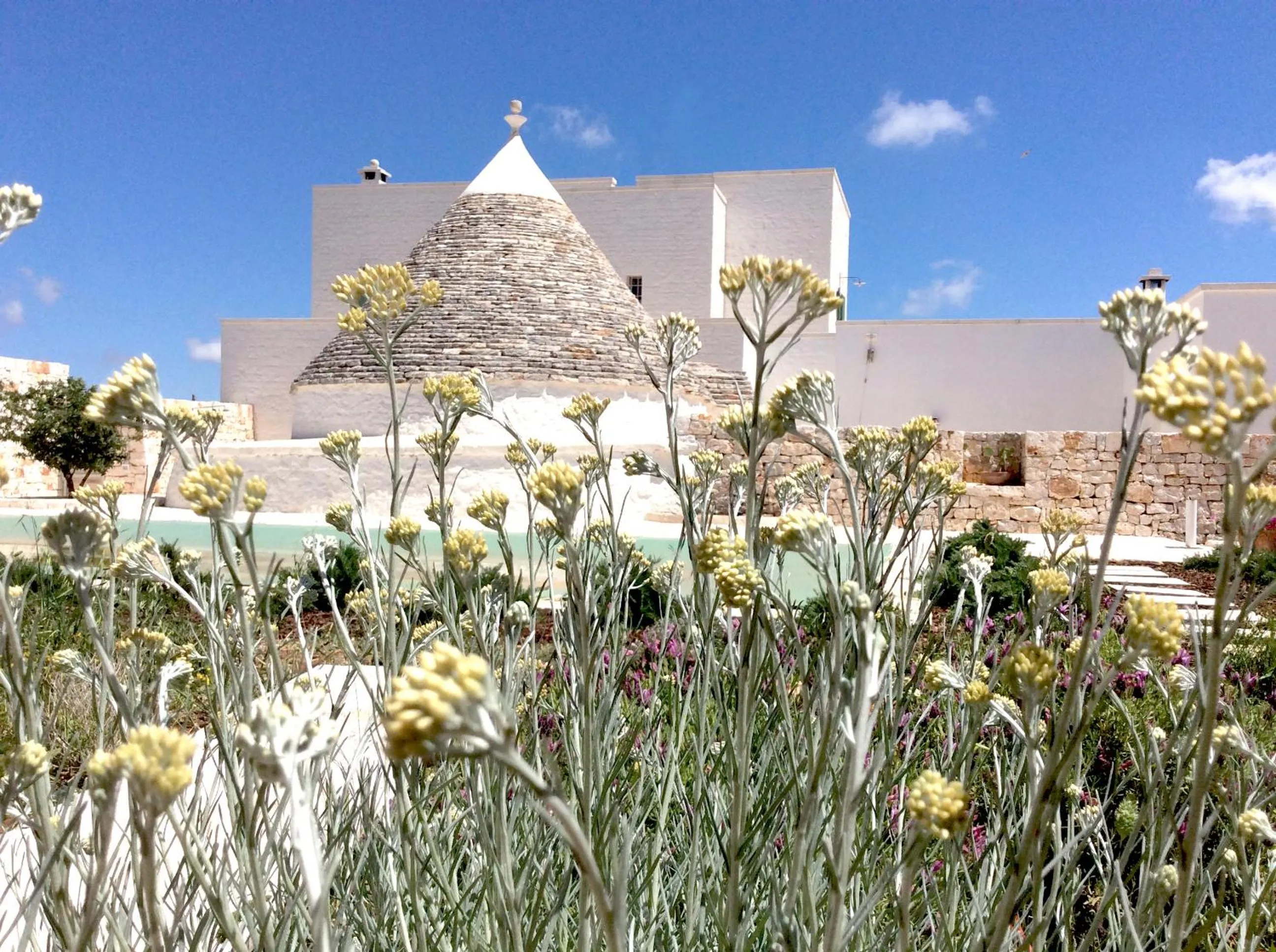 Property building in Masseria Fenicia