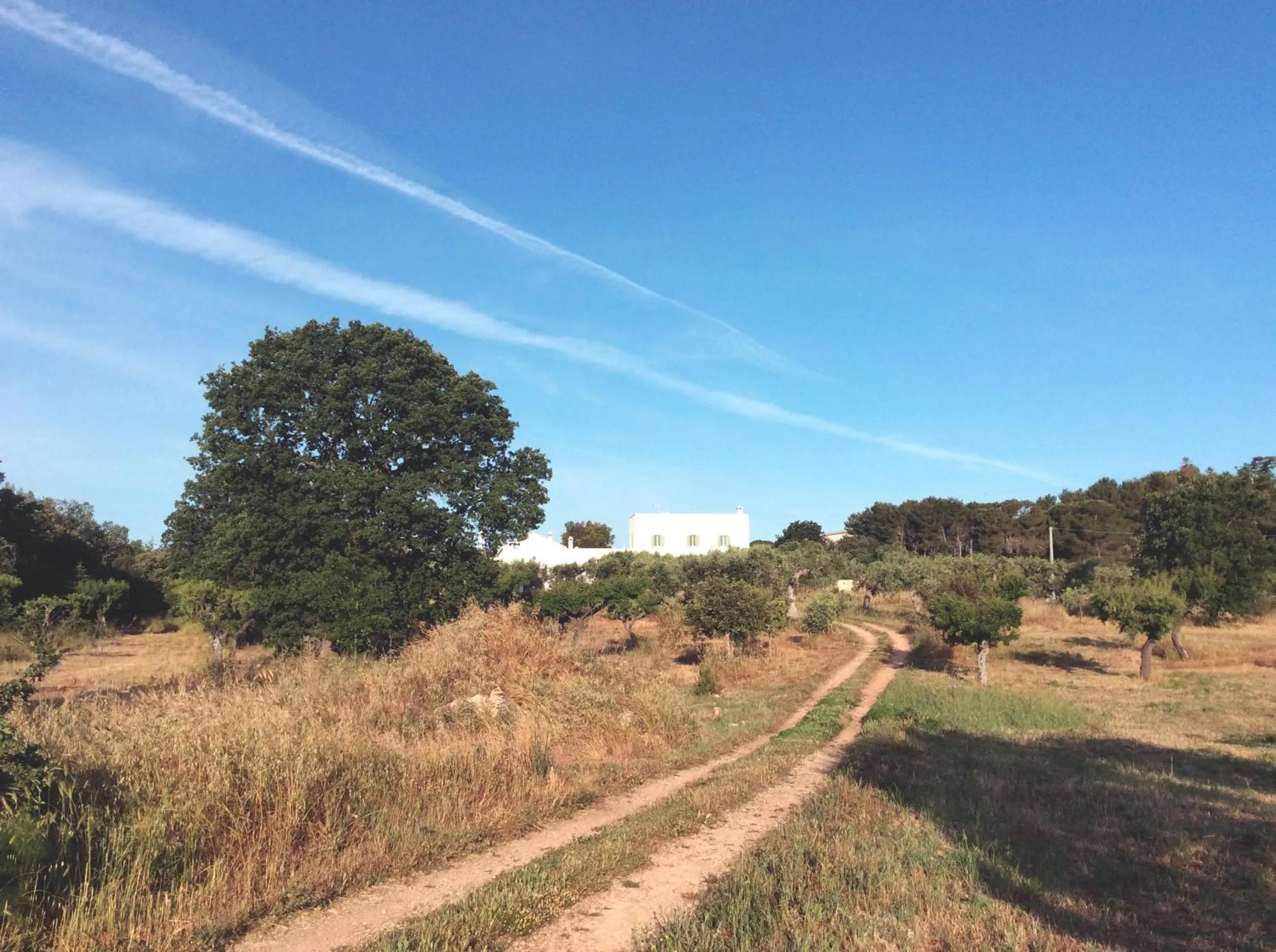 Property building in Masseria Fenicia