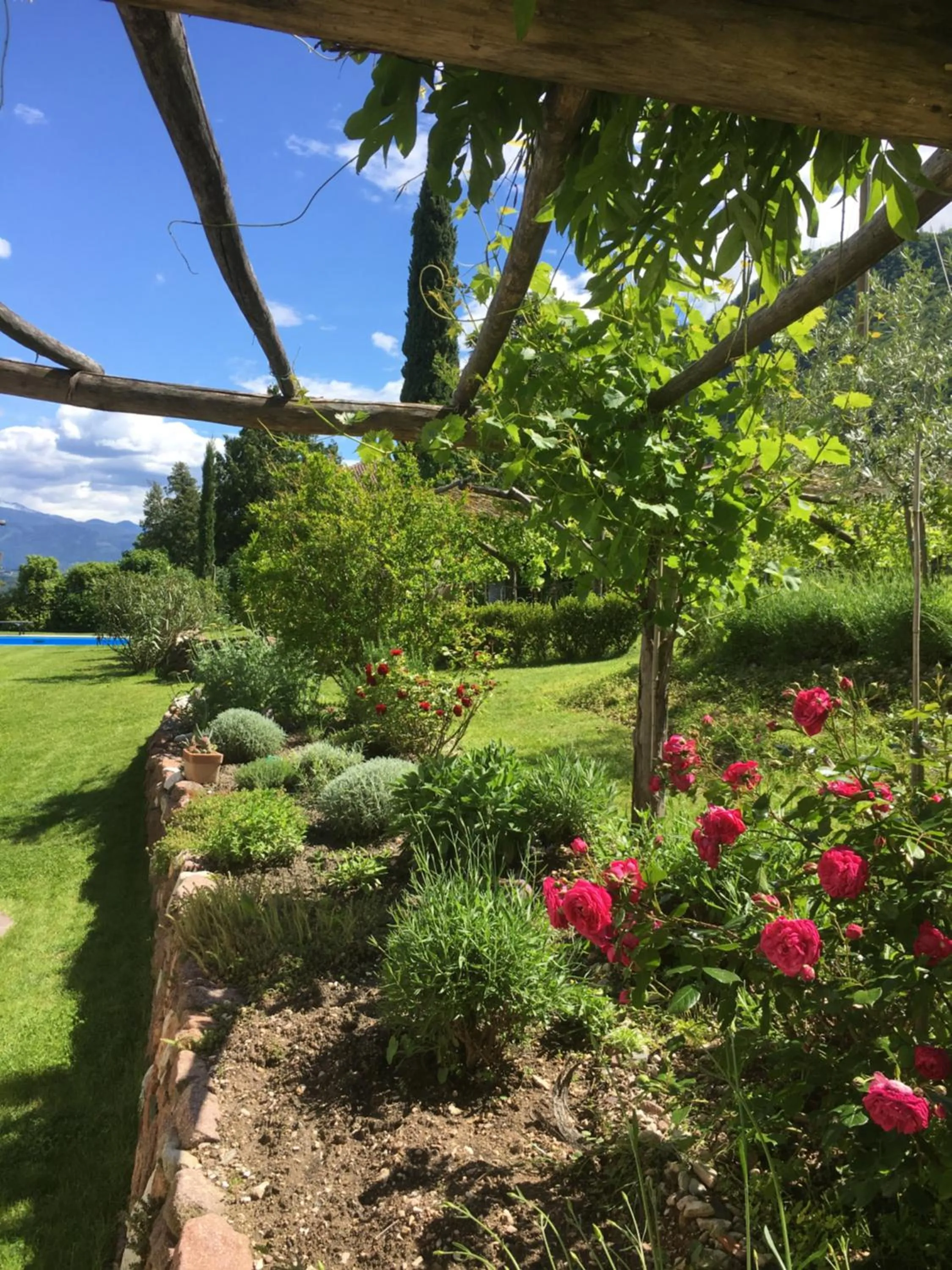 Garden in Pension Gruenwald