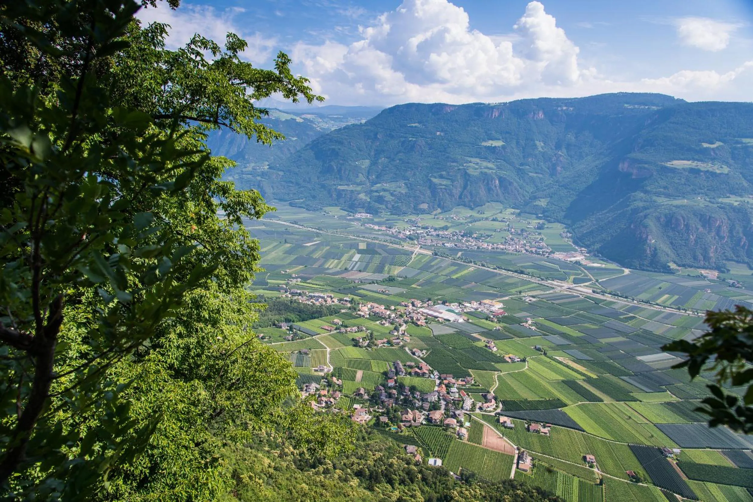 Bird's eye view in Pension Gruenwald