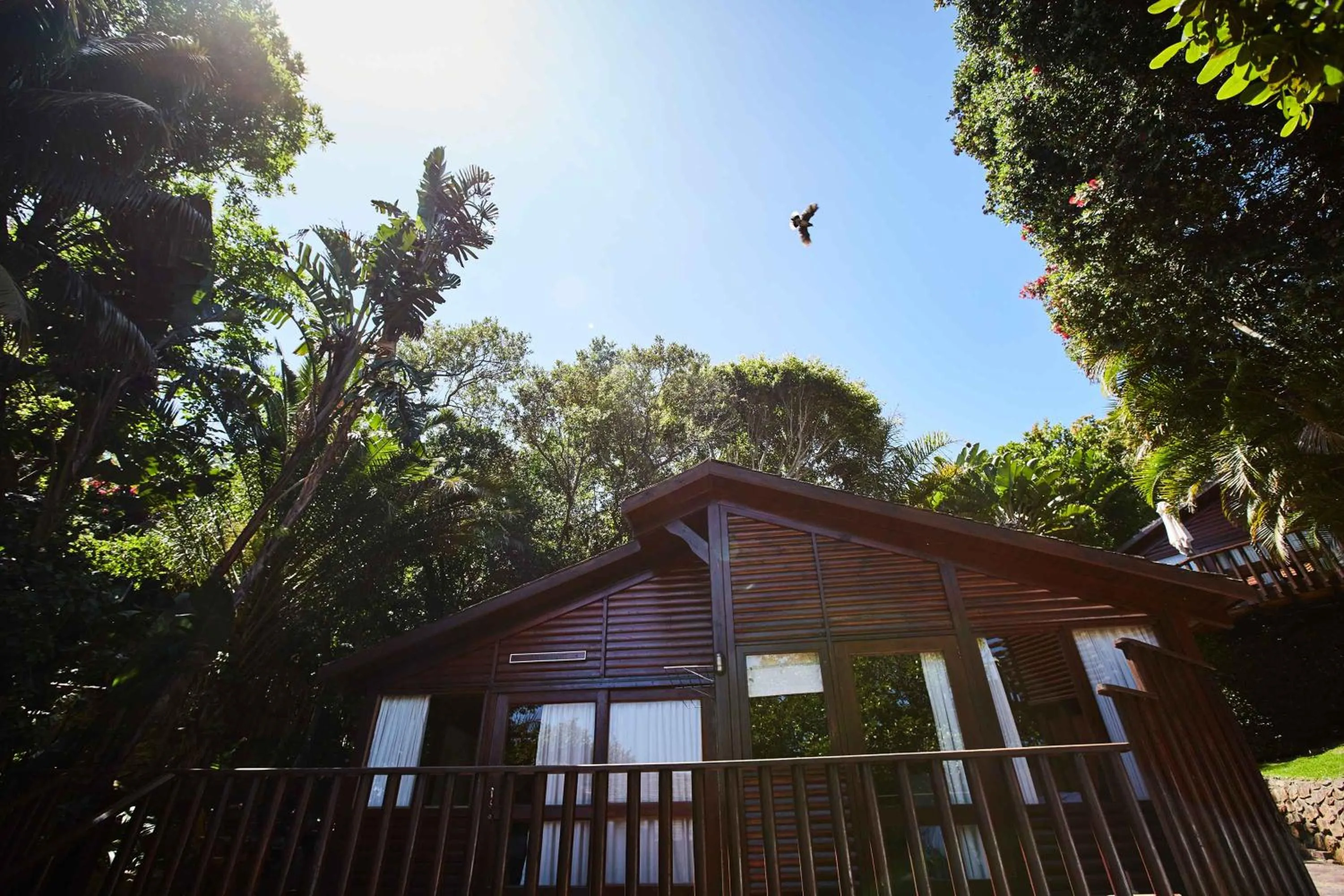 Facade/entrance in Under Milkwood Resort