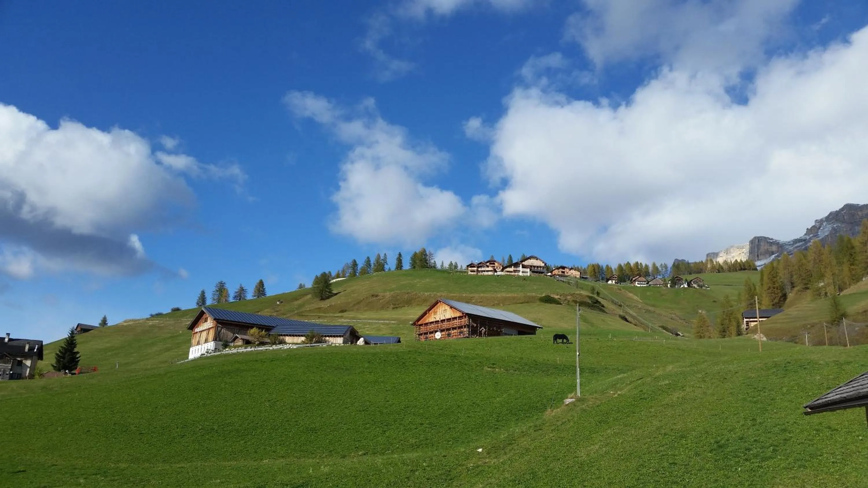 Area and facilities in Family and Wellness Residence Ciasa Antersies