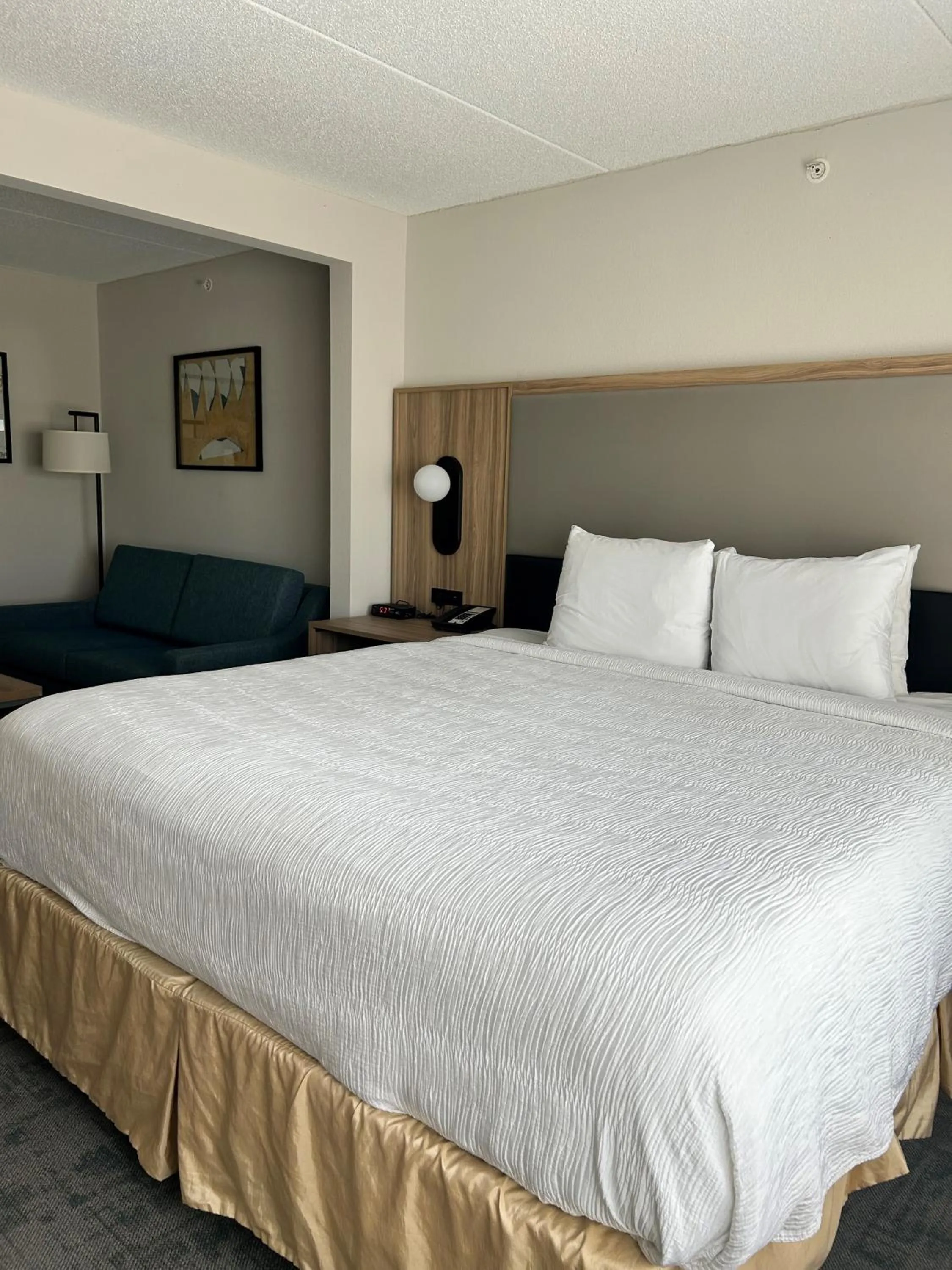 Bedroom, Bed in Wingate by Wyndham Richmond Short Pump