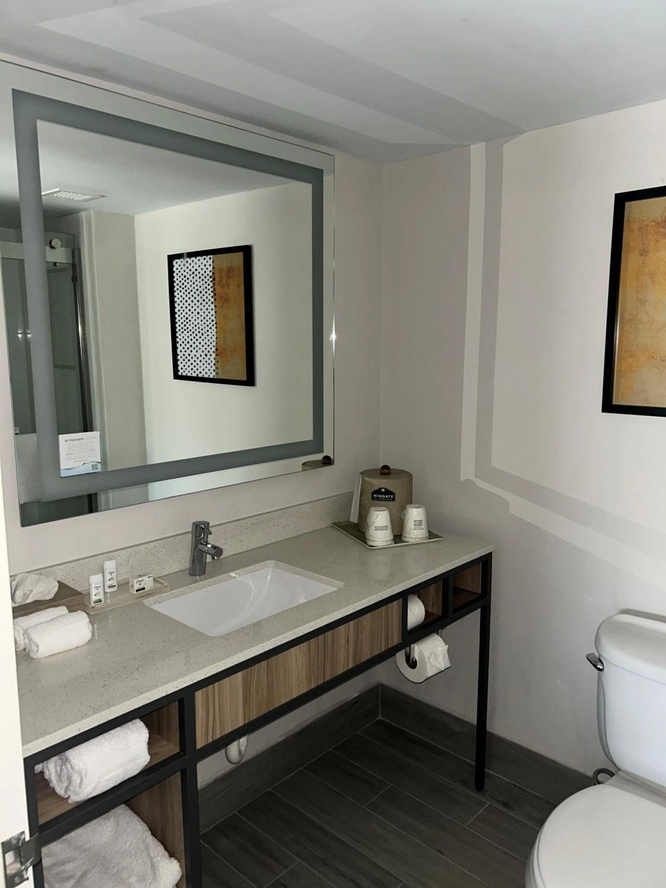 Bathroom in Wingate by Wyndham Richmond Short Pump