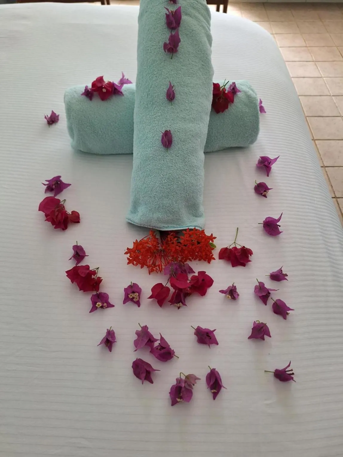 Property building in Sibonne Beach Hotel