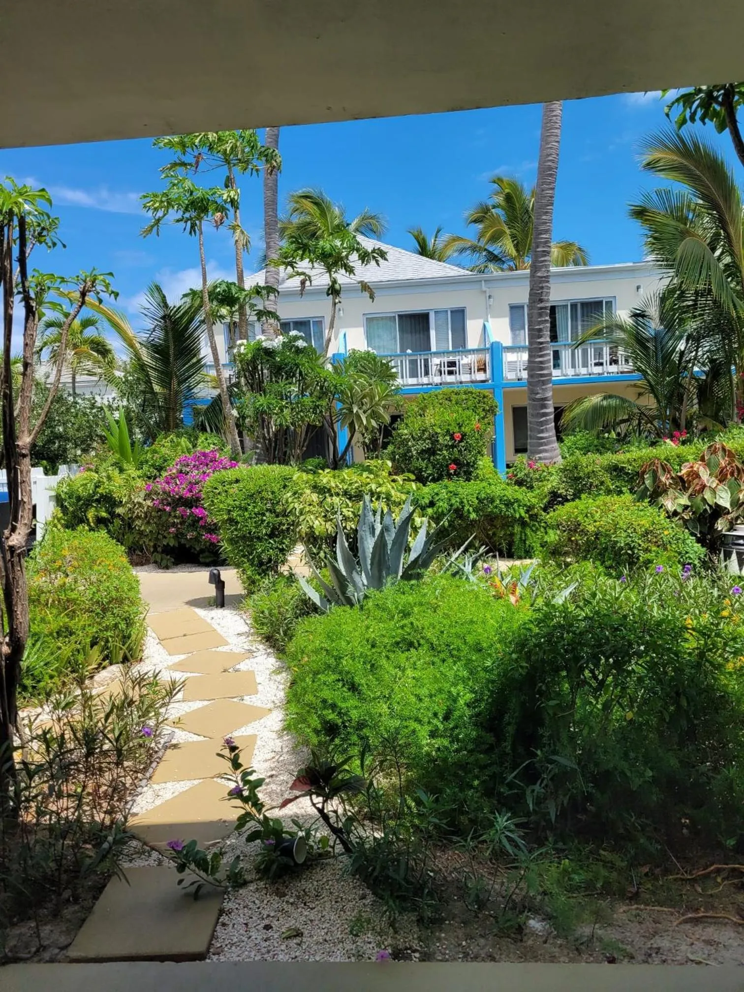 Garden in Sibonne Beach Hotel