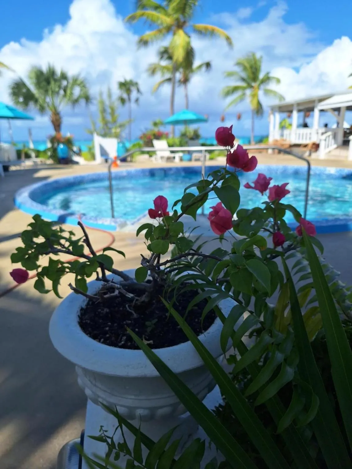 Pool view in Sibonne Beach Hotel