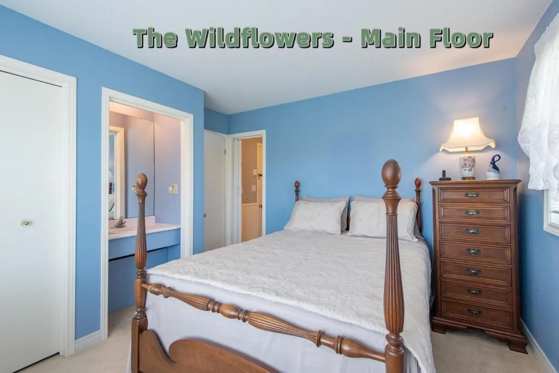 Photo of the whole room, Bed in Chez Nous